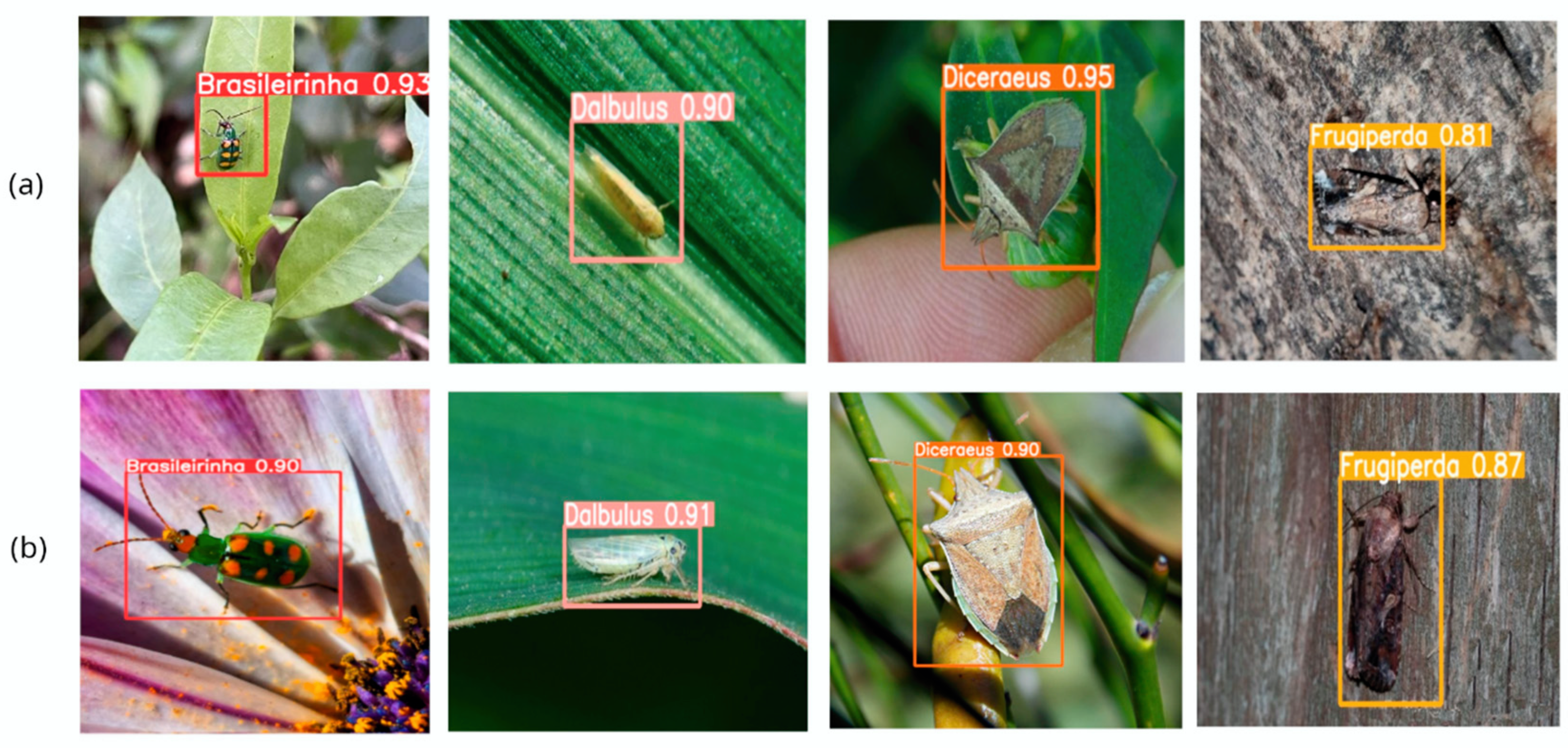 Agronomy 14 02194 g014 Agronomy 14 02194 g014