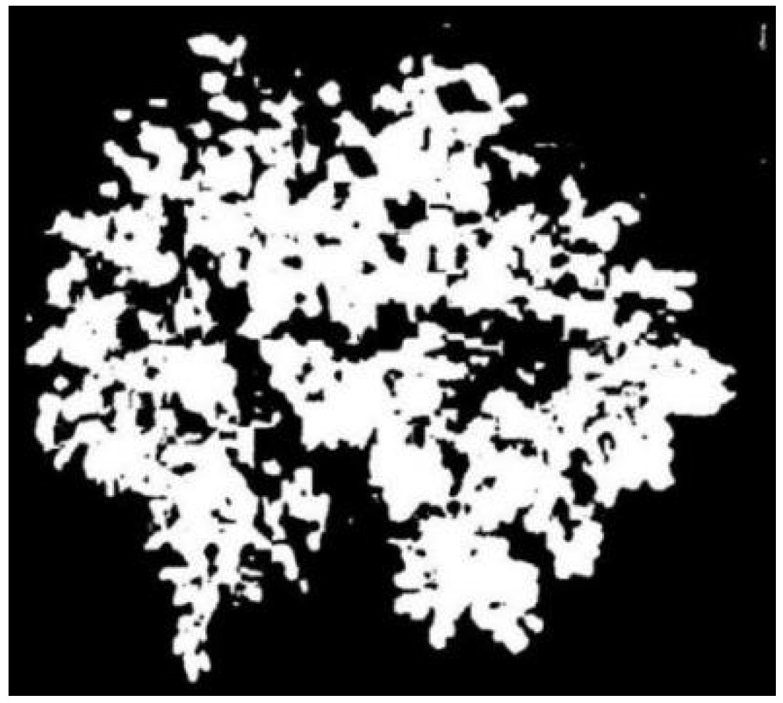 Agronomy 14 02199 g004