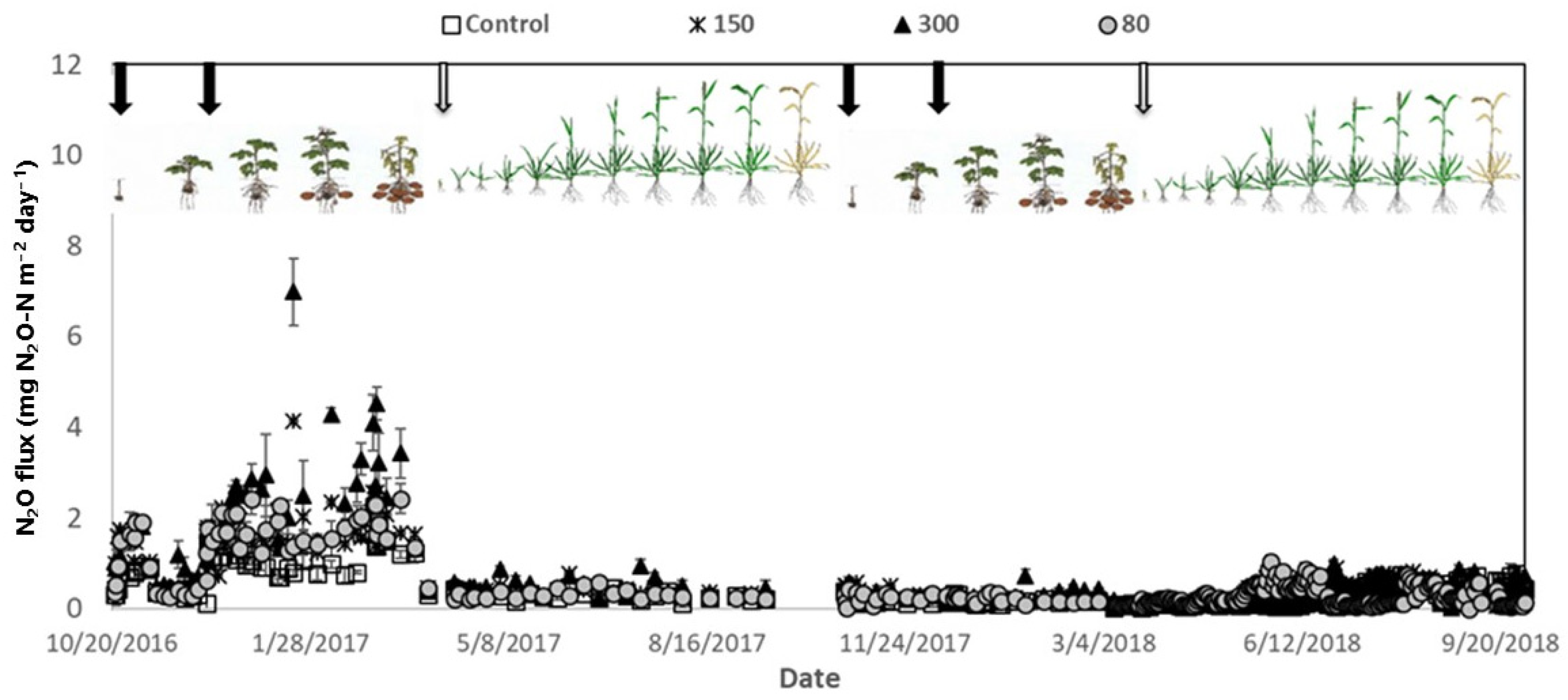 Agronomy 14 02202 g004