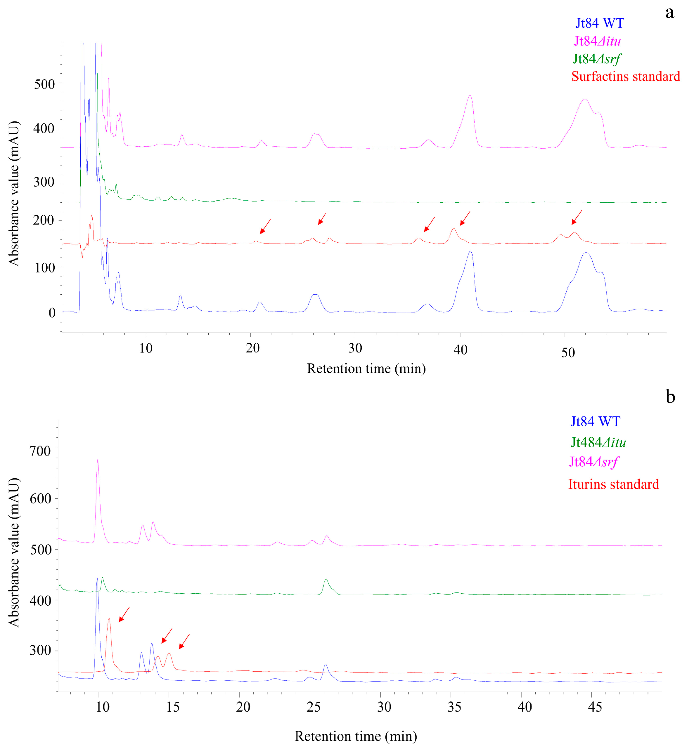 Agronomy 14 02204 g001