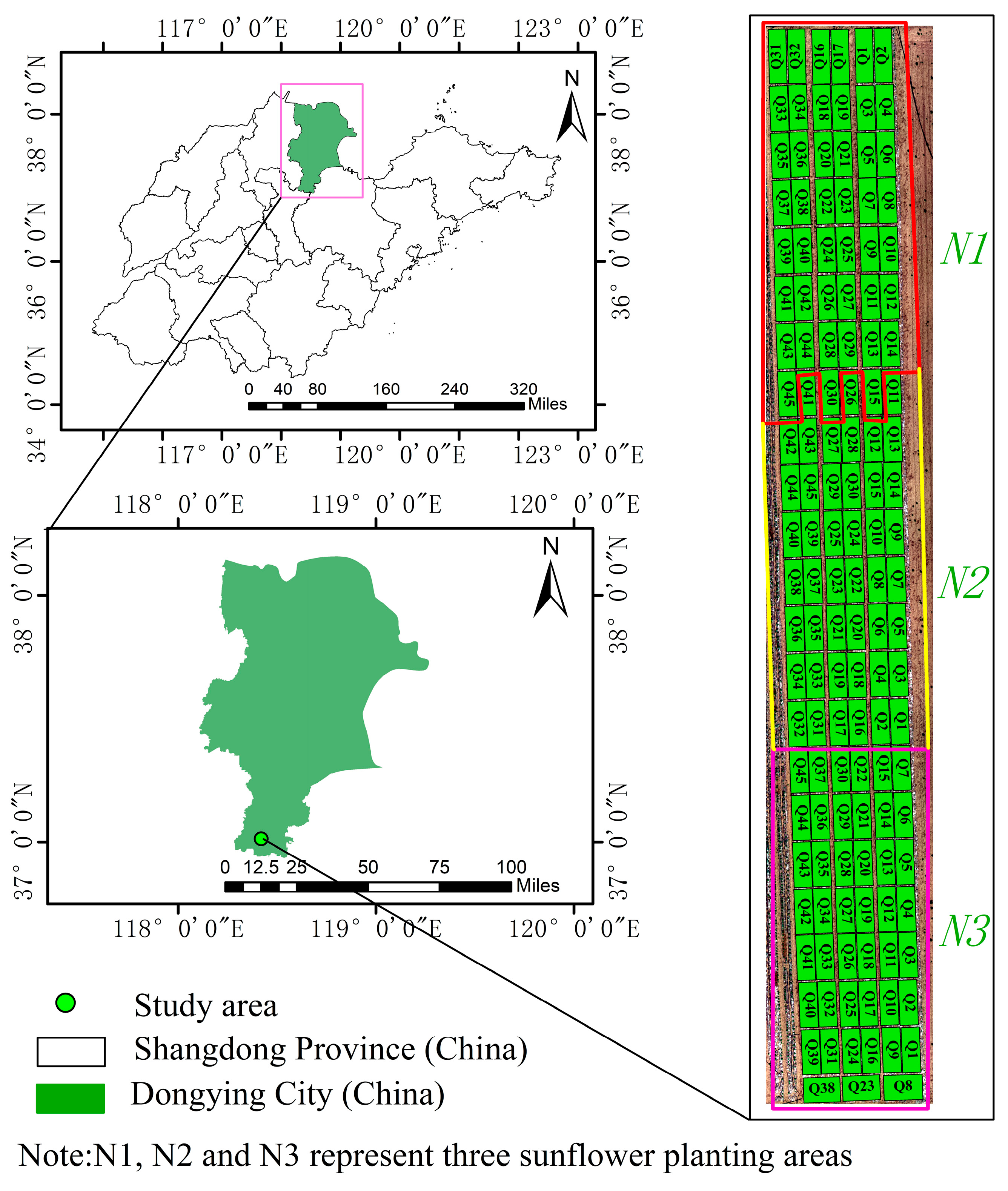 Agronomy 14 02205 g001