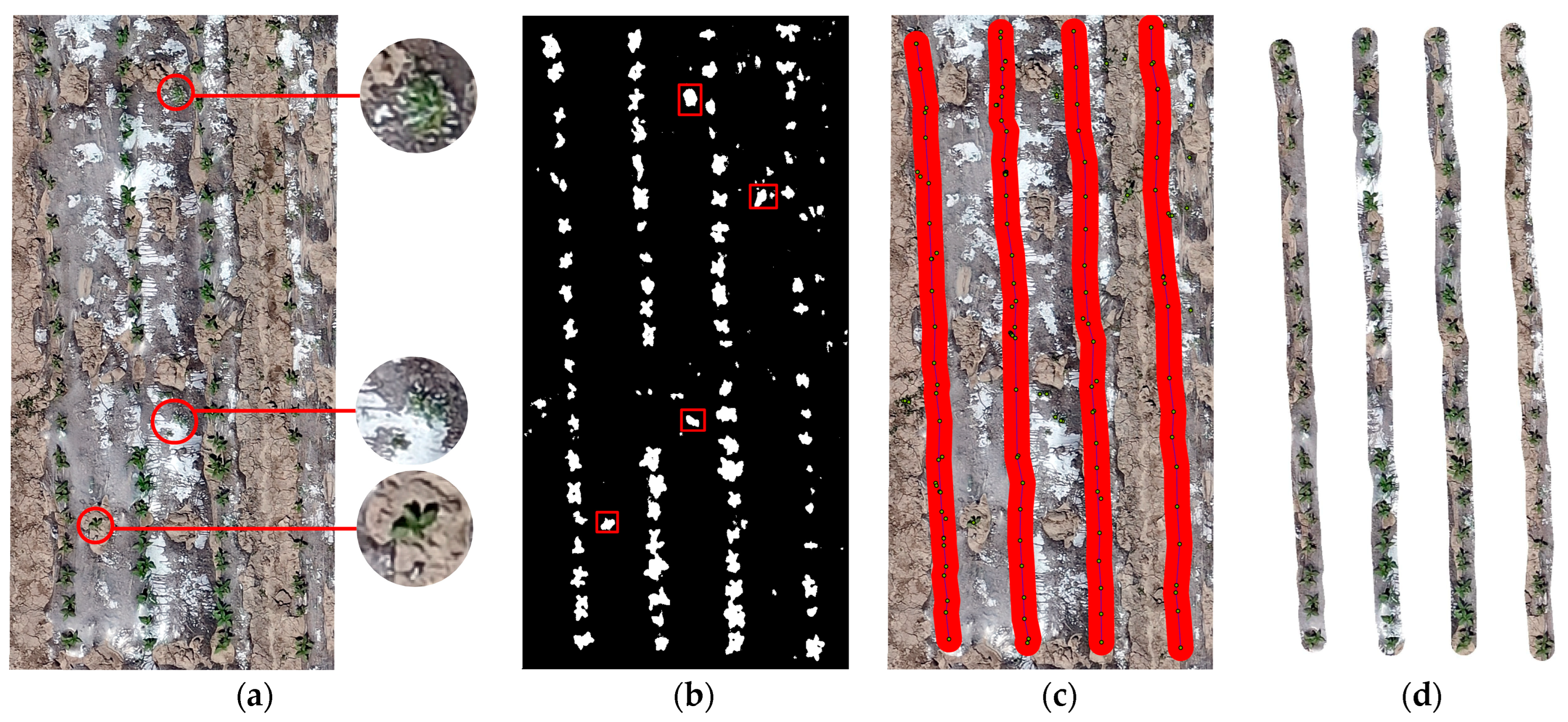 Agronomy 14 02205 g004