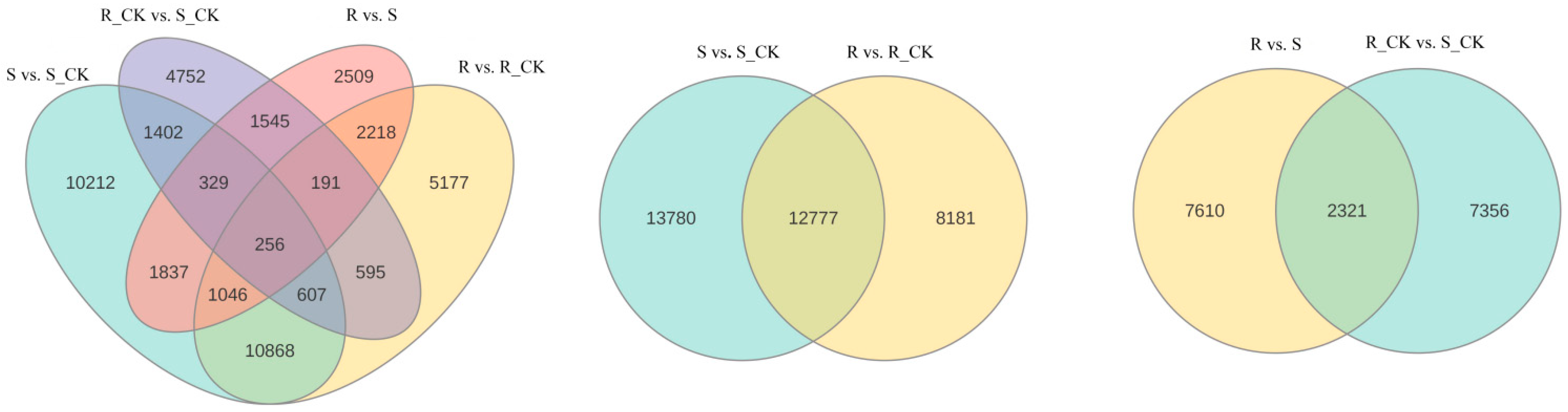 Agronomy 14 02210 g004