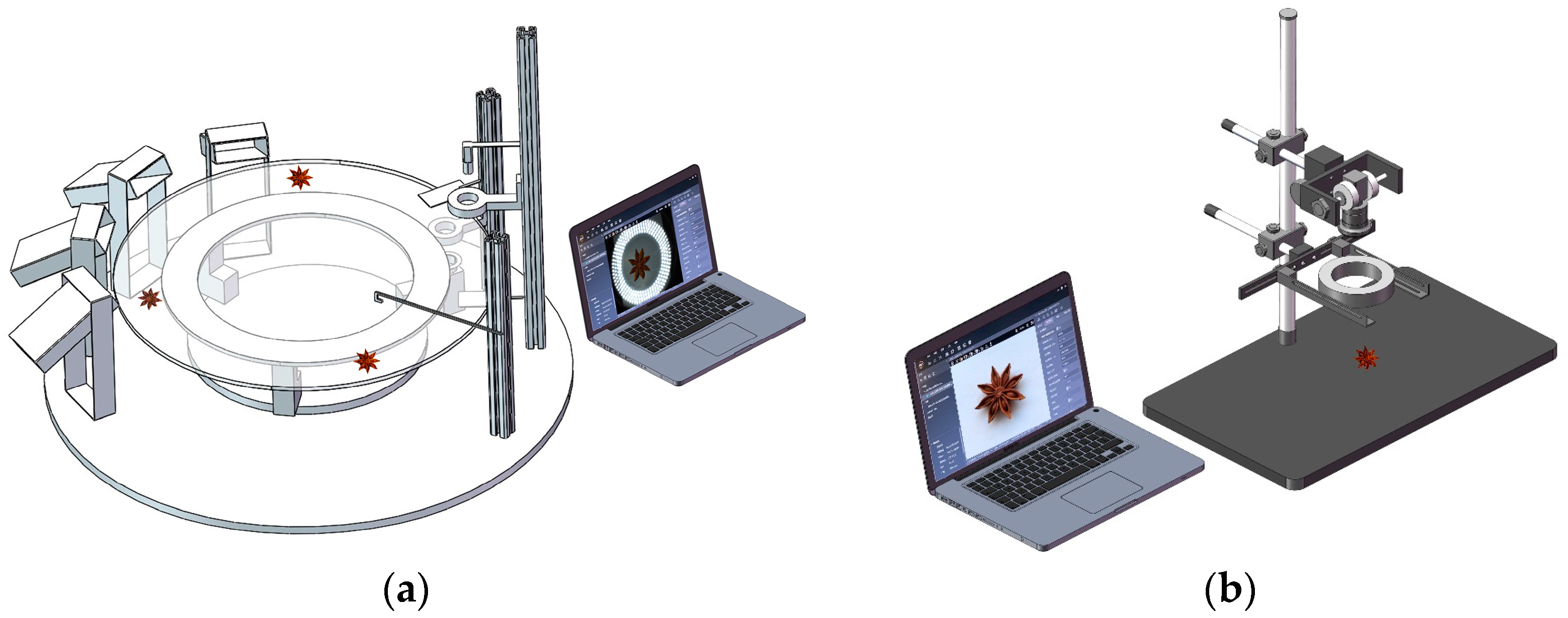 Agronomy 14 02211 g002