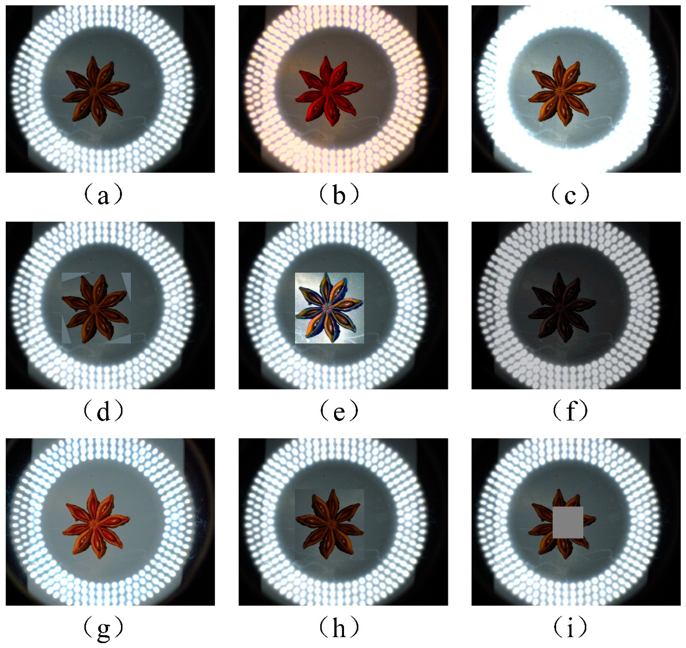 Agronomy 14 02211 g005