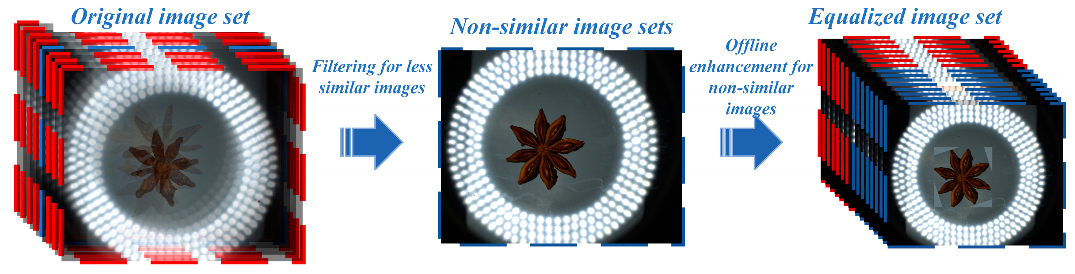 Agronomy 14 02211 g006