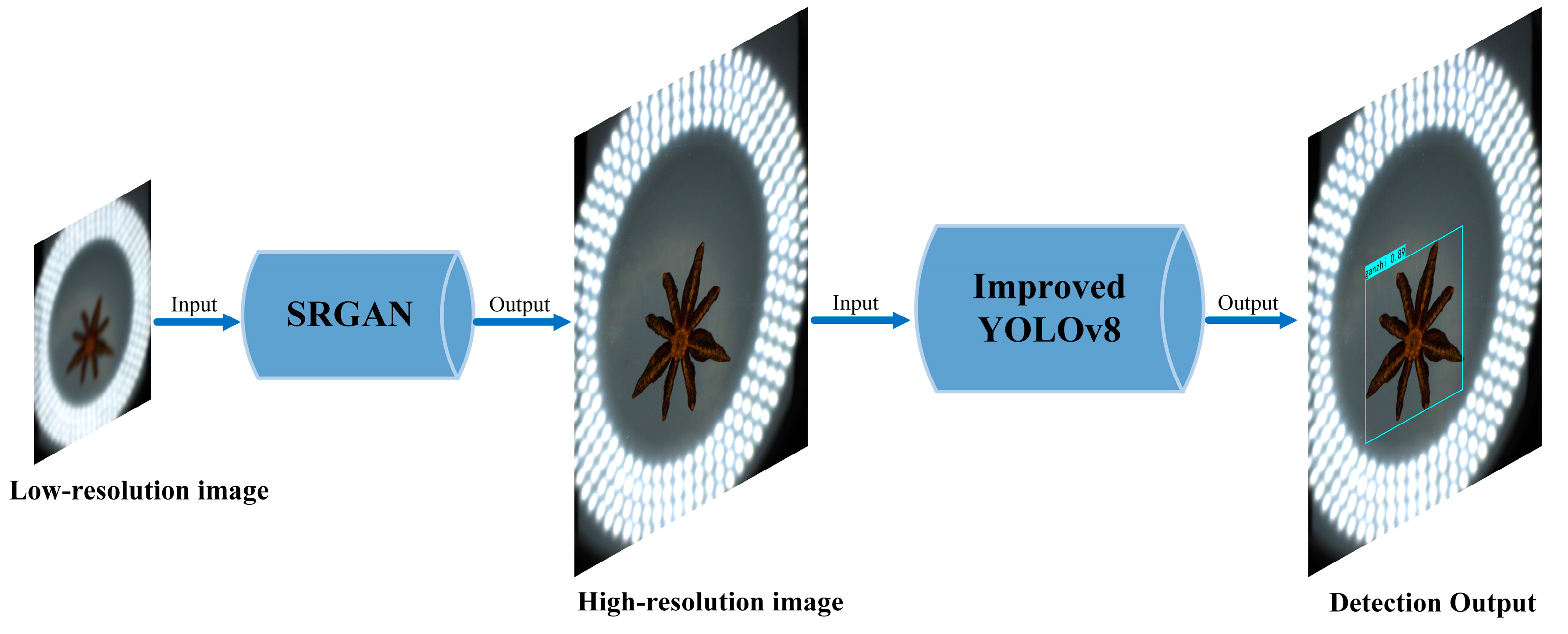 Agronomy 14 02211 g009