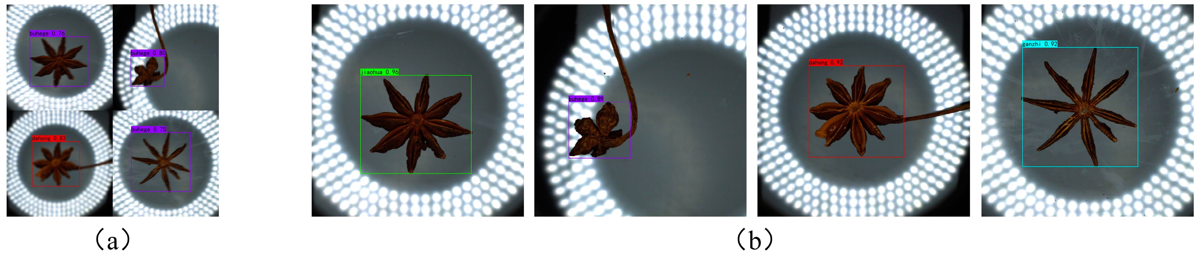 Agronomy 14 02211 g019