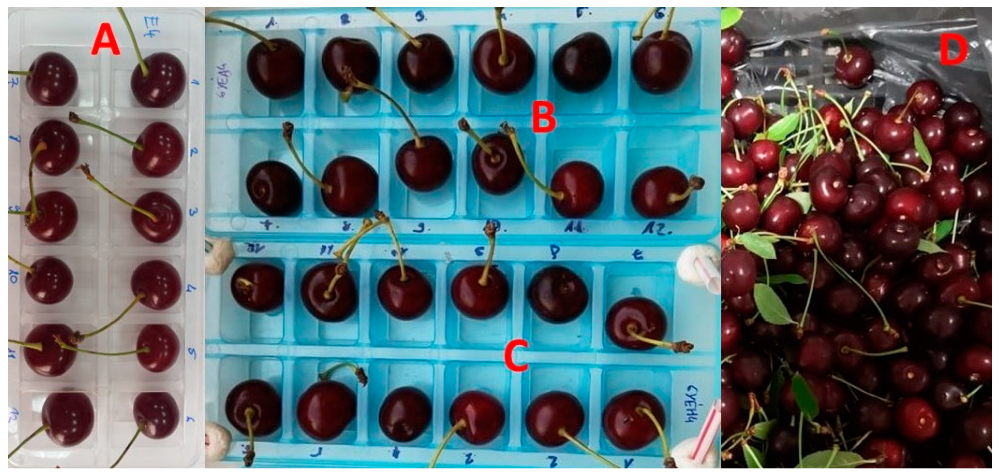 Agronomy 14 02212 g002