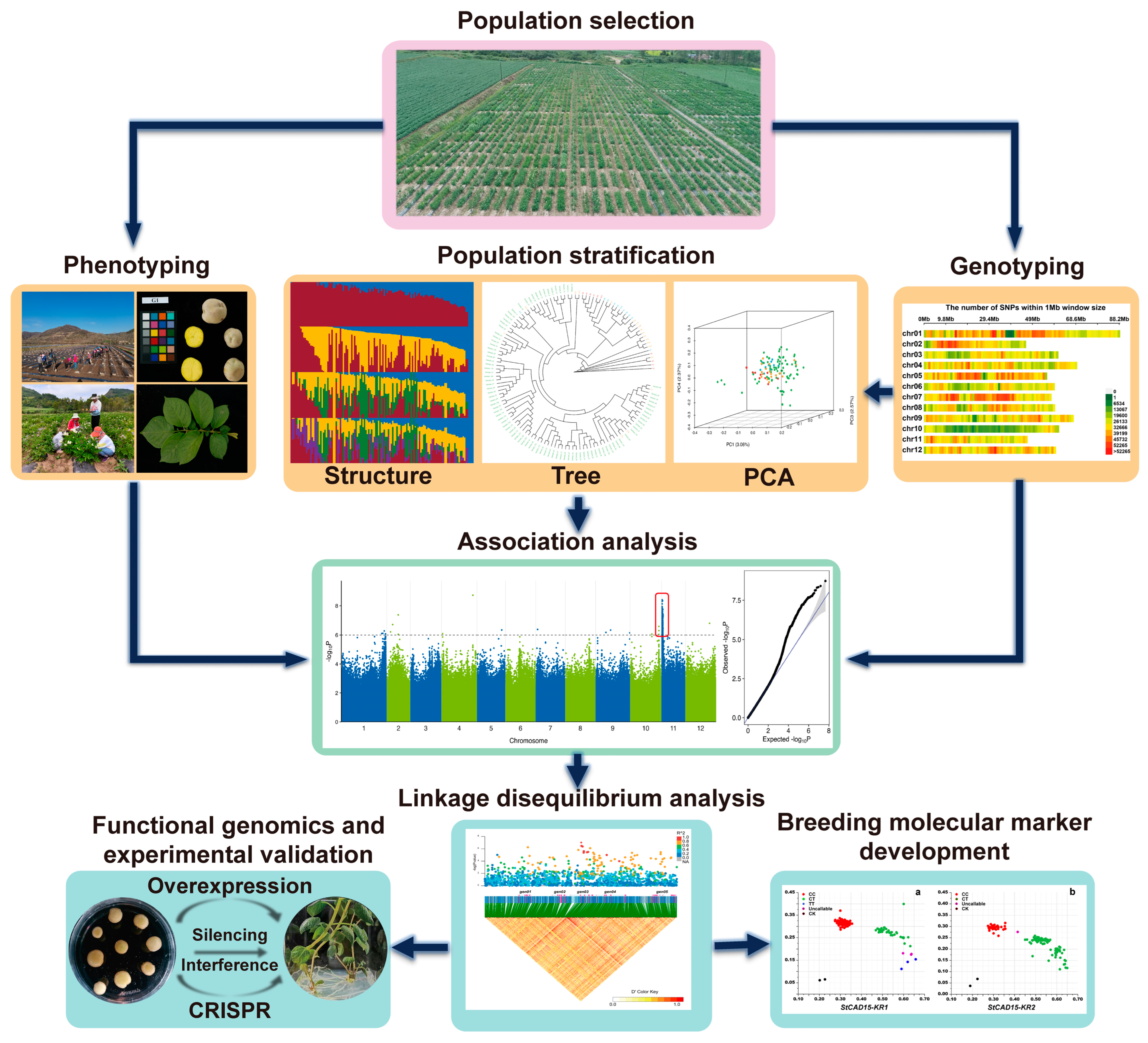 Agronomy 14 02214 g001