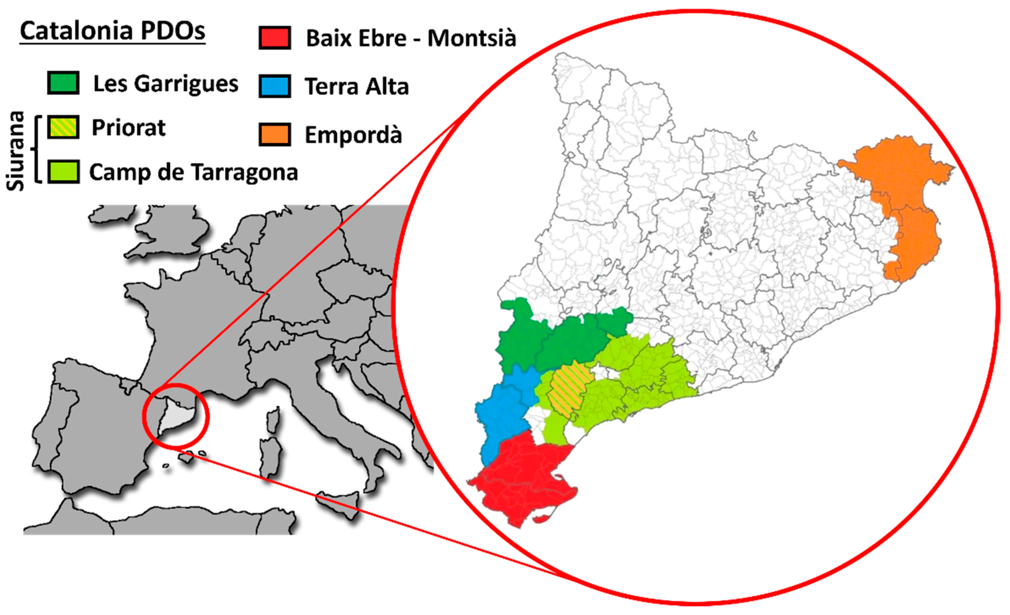 Agronomy 14 02218 g001