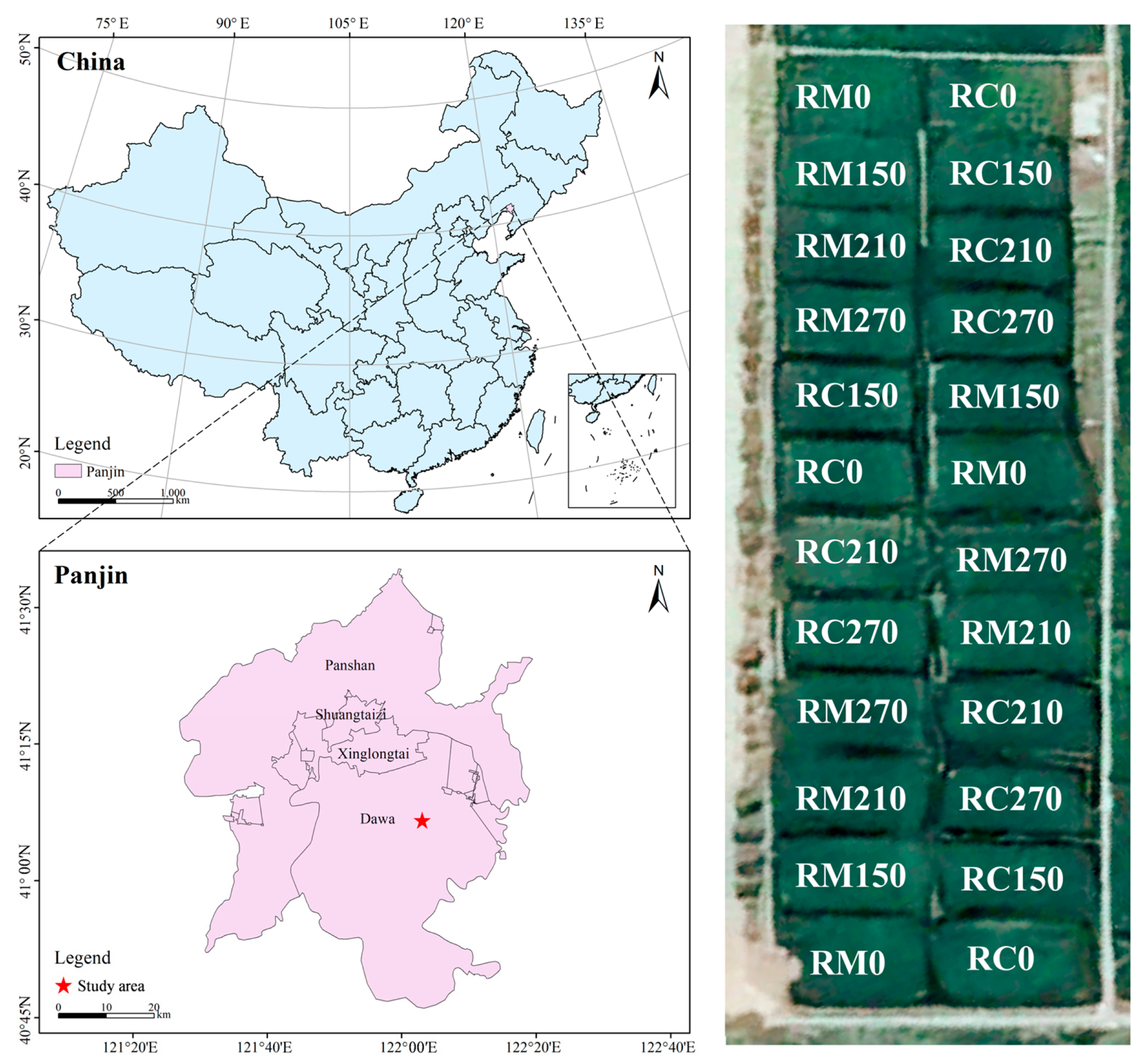 Agronomy 14 02219 g001