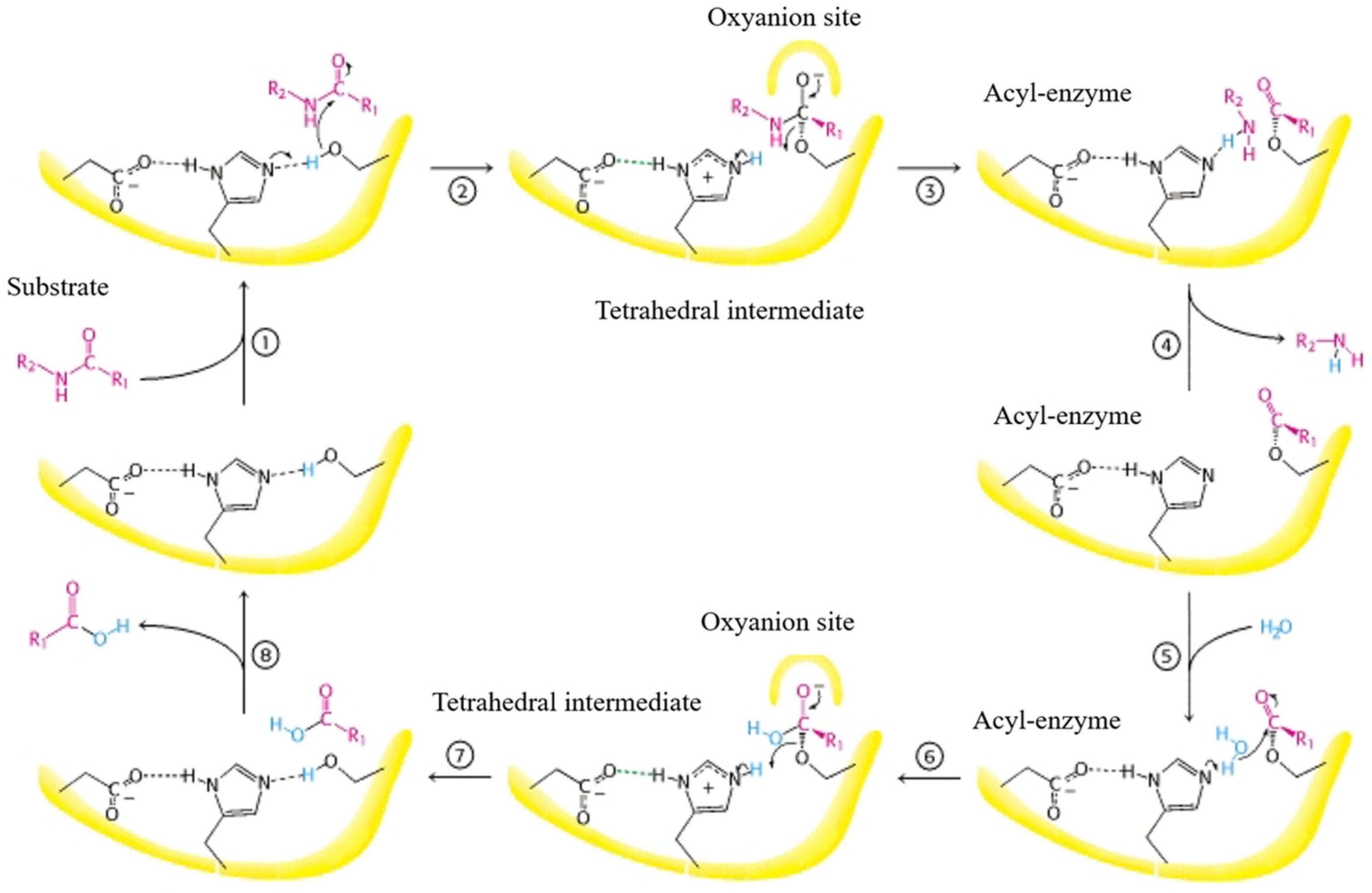 Agronomy 14 02222 g003