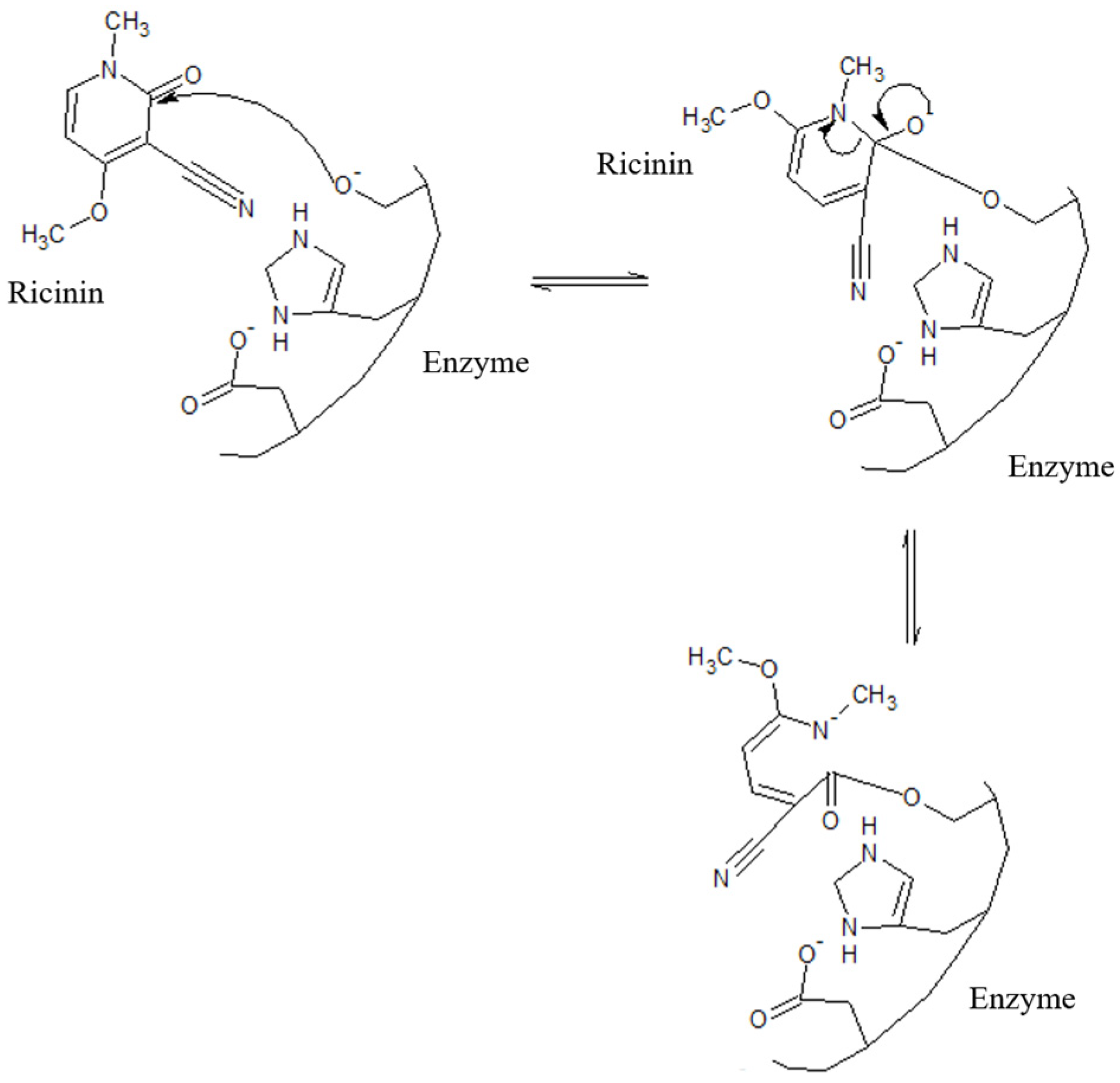 Agronomy 14 02222 g004