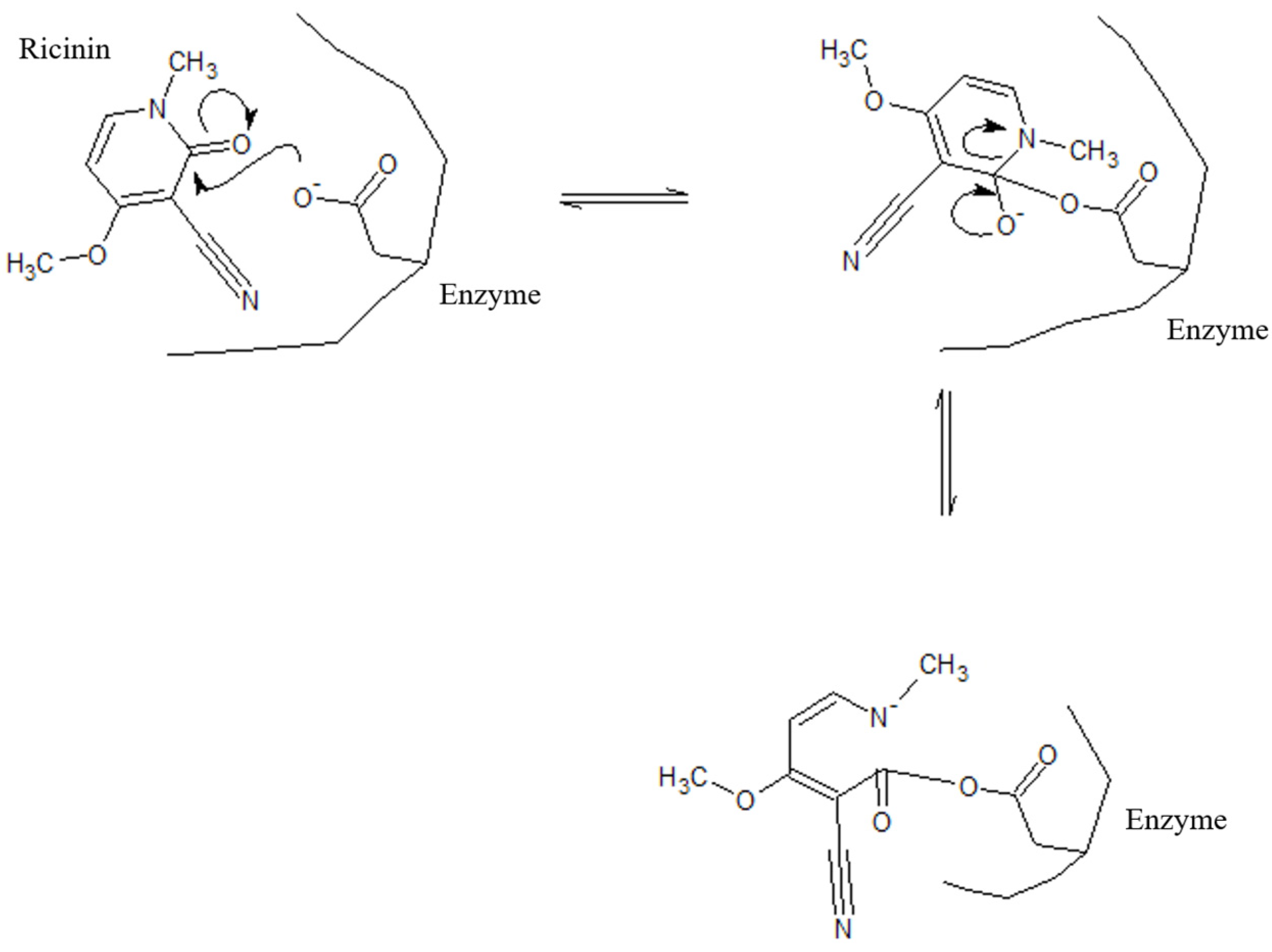 Agronomy 14 02222 g005