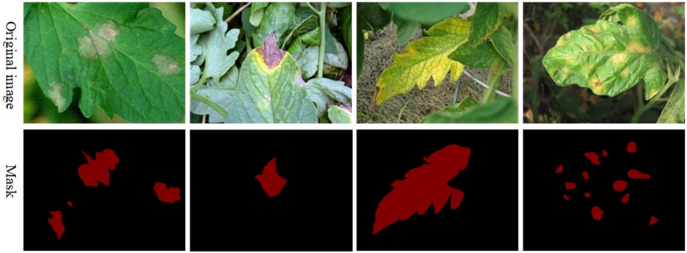 Agronomy 14 02227 g001