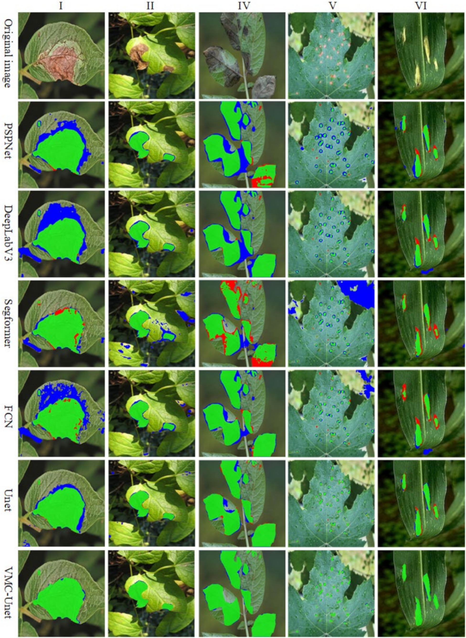 Agronomy 14 02227 g011