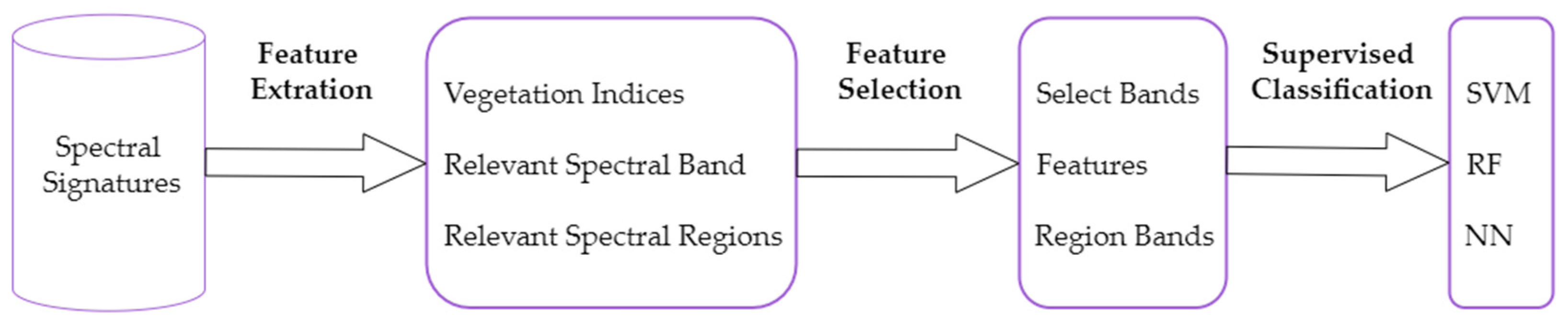 Agronomy 14 02228 g002