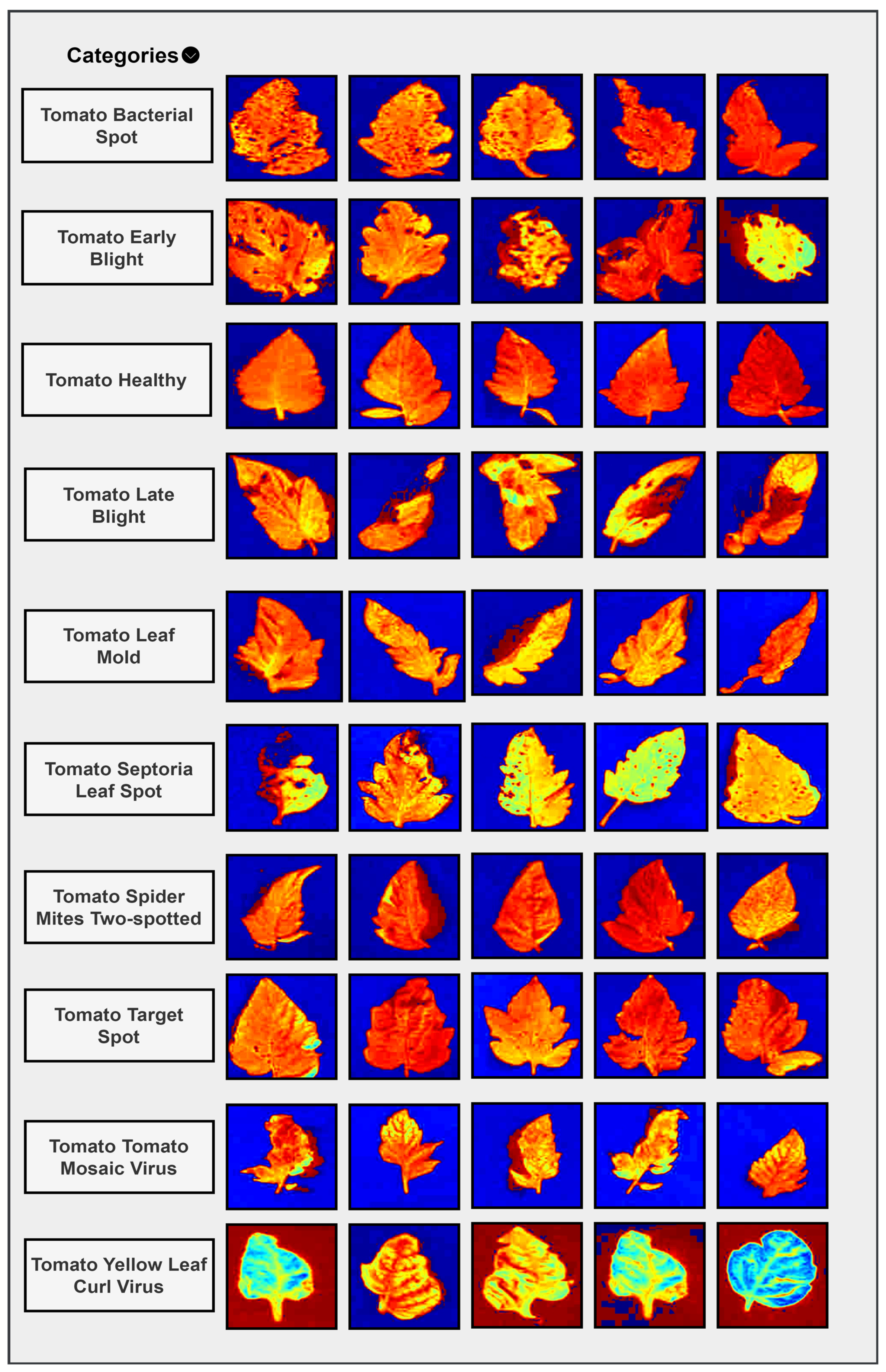 Agronomy 14 02230 g008
