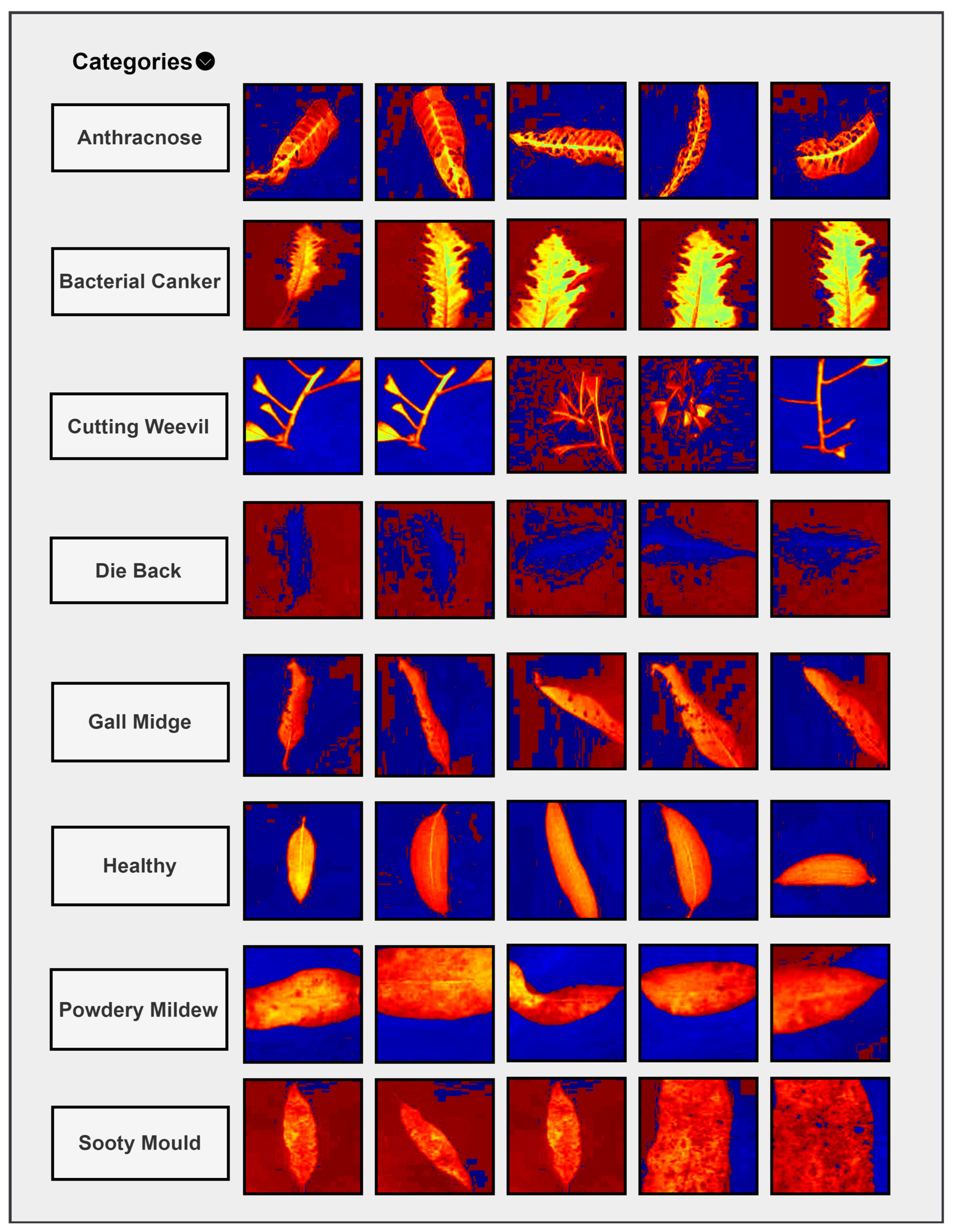 Agronomy 14 02230 g009