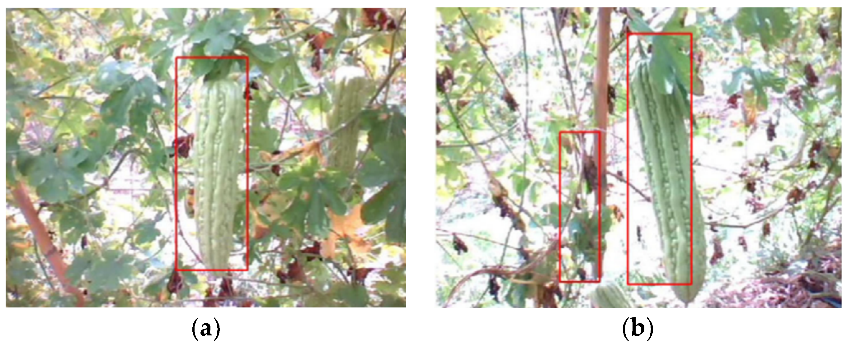 Agronomy 14 02233 g003