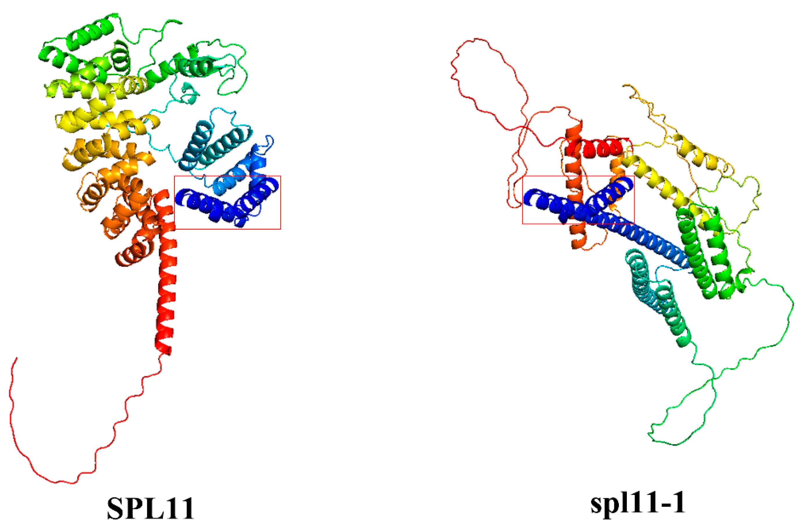 Agronomy 14 02240 g006