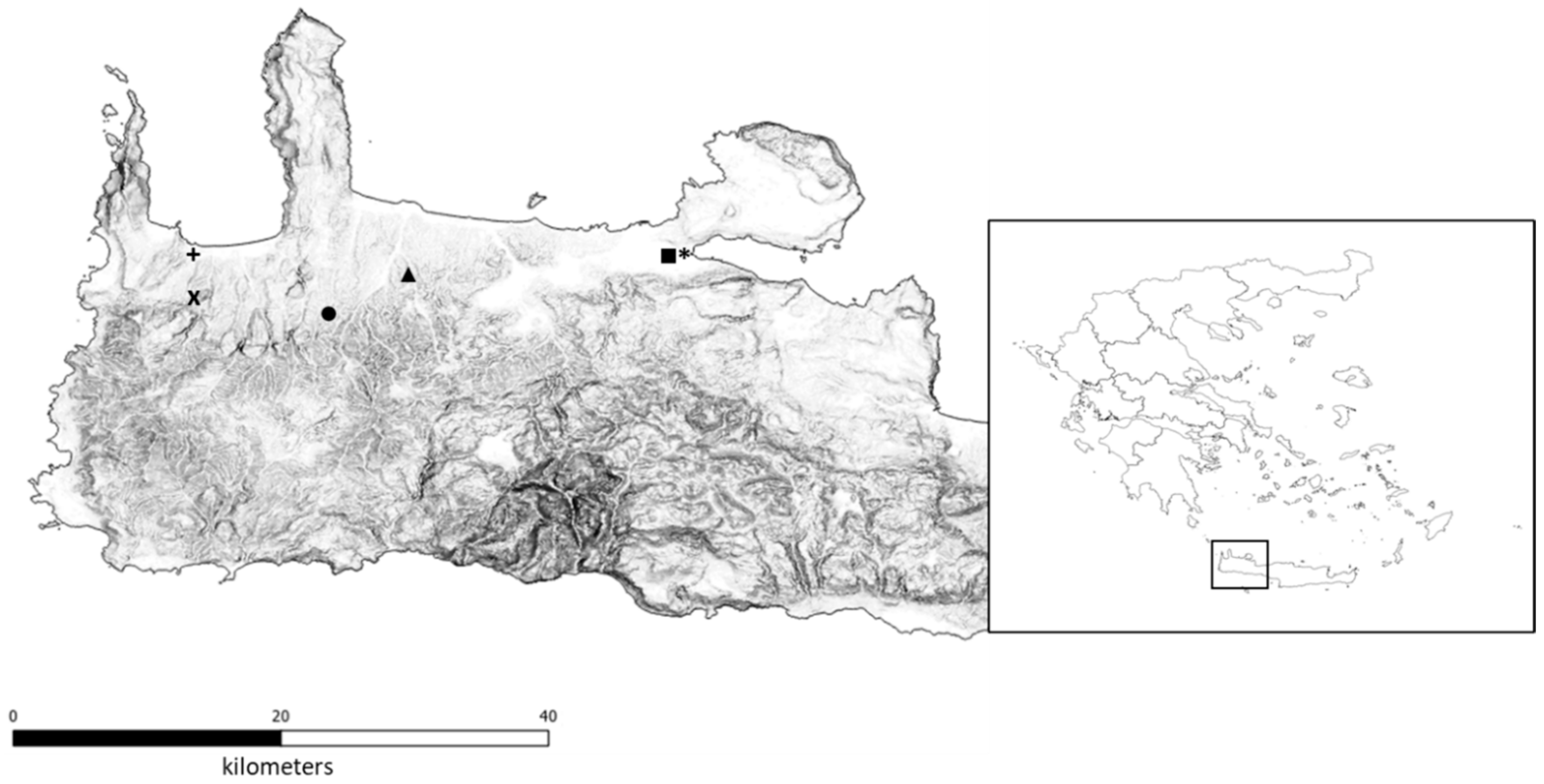 Agronomy 14 02243 g001