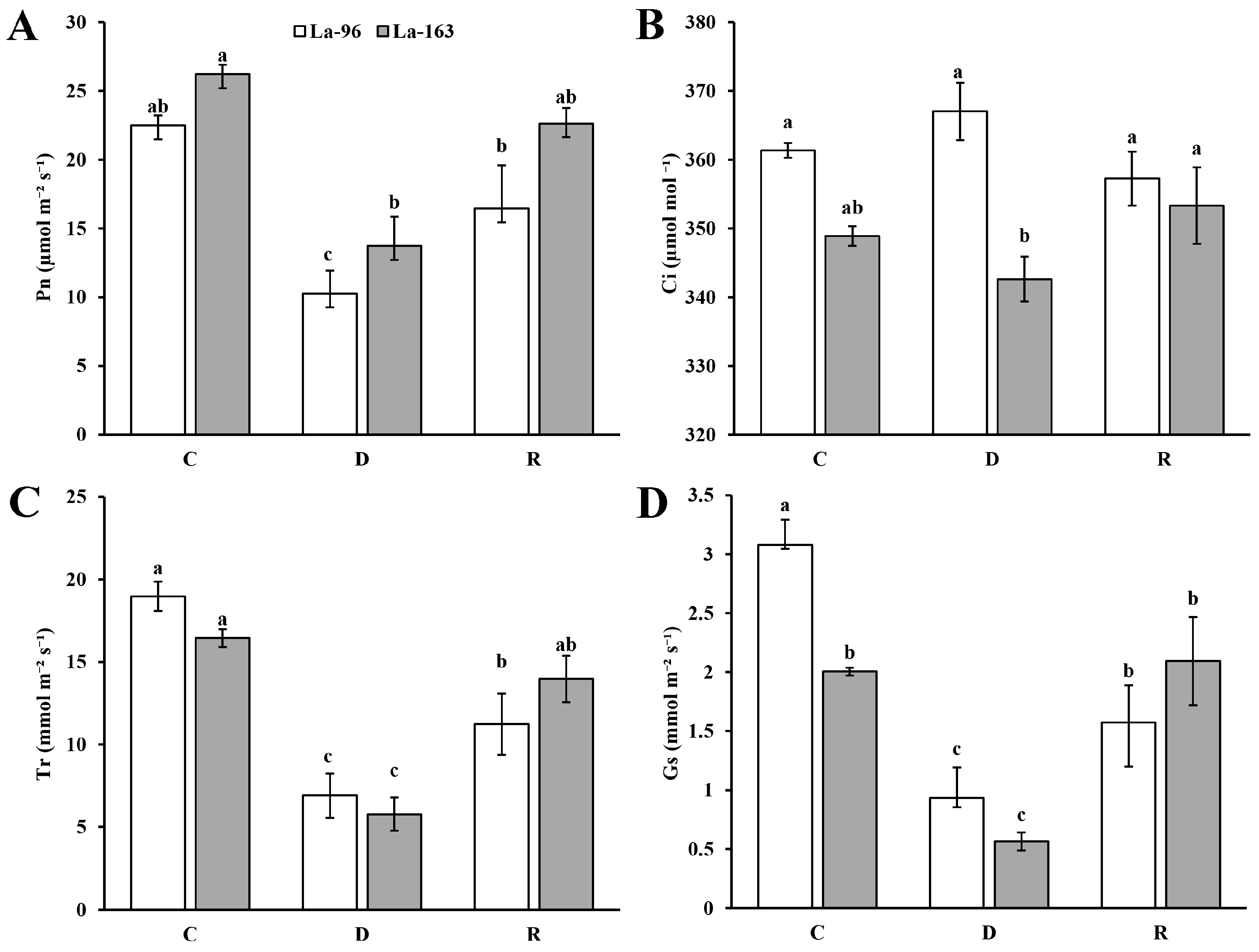 Agronomy 14 02247 g003
