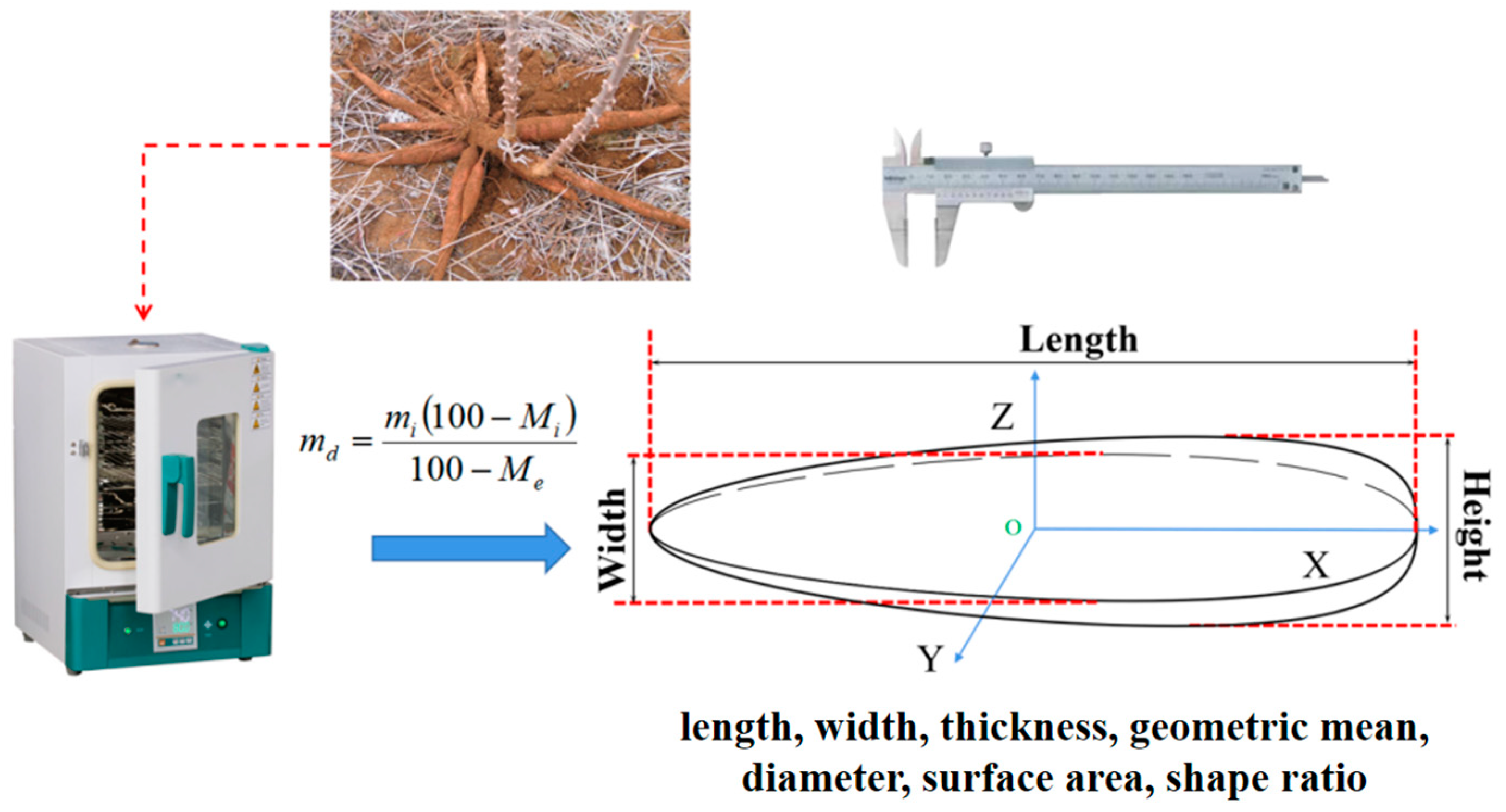 Agronomy 14 02254 g002
