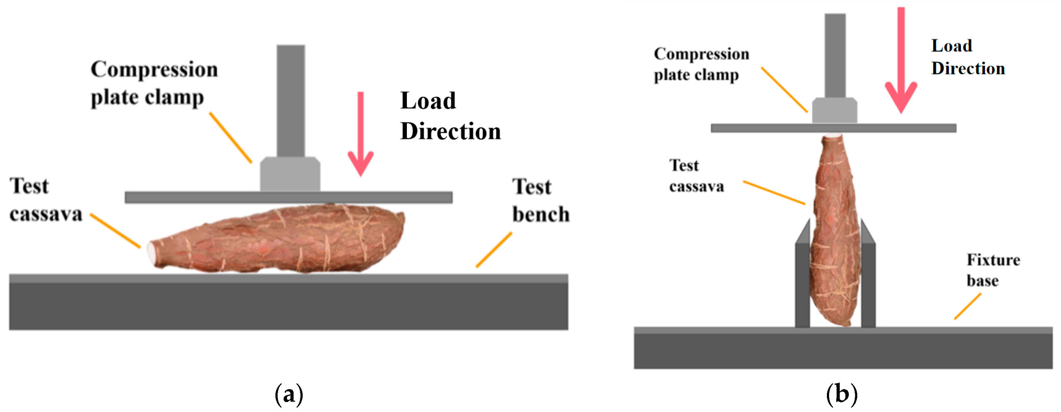 Agronomy 14 02254 g003