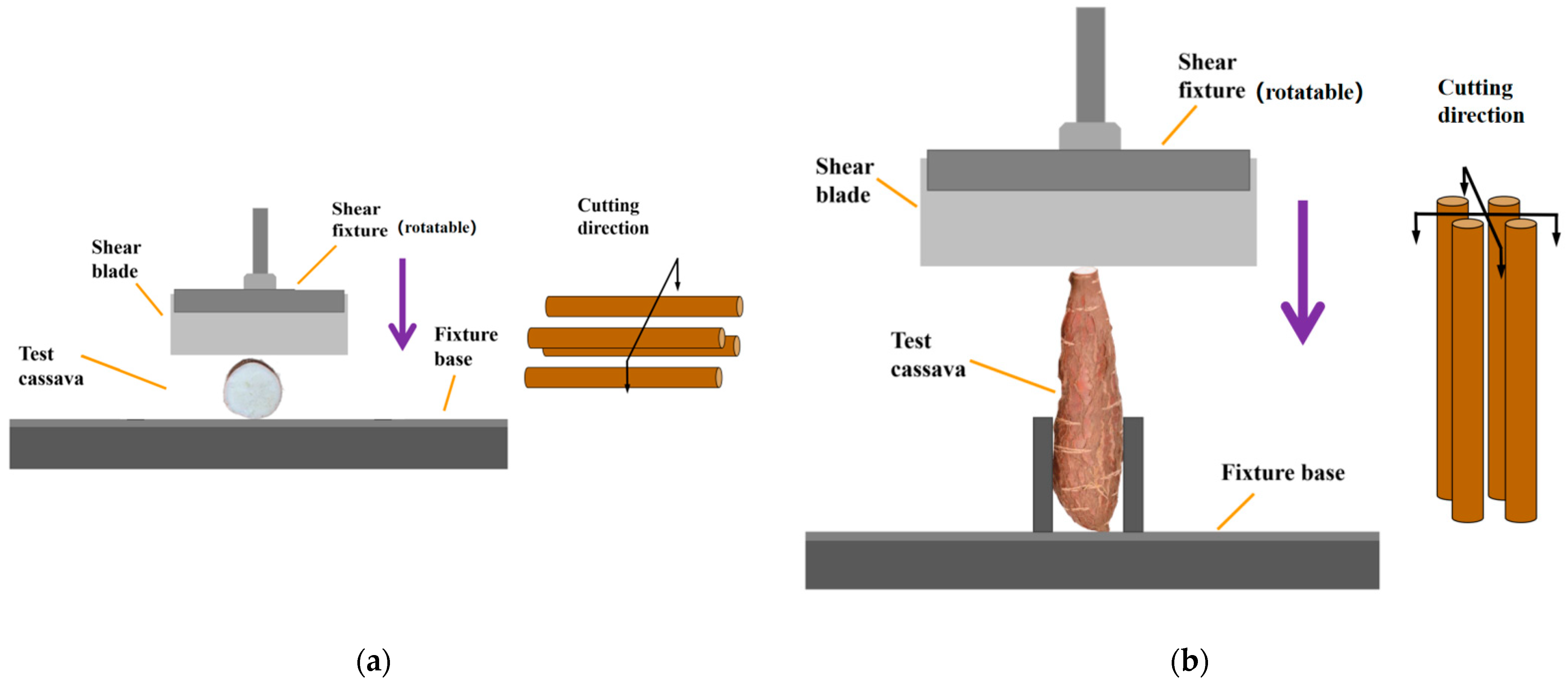 Agronomy 14 02254 g004