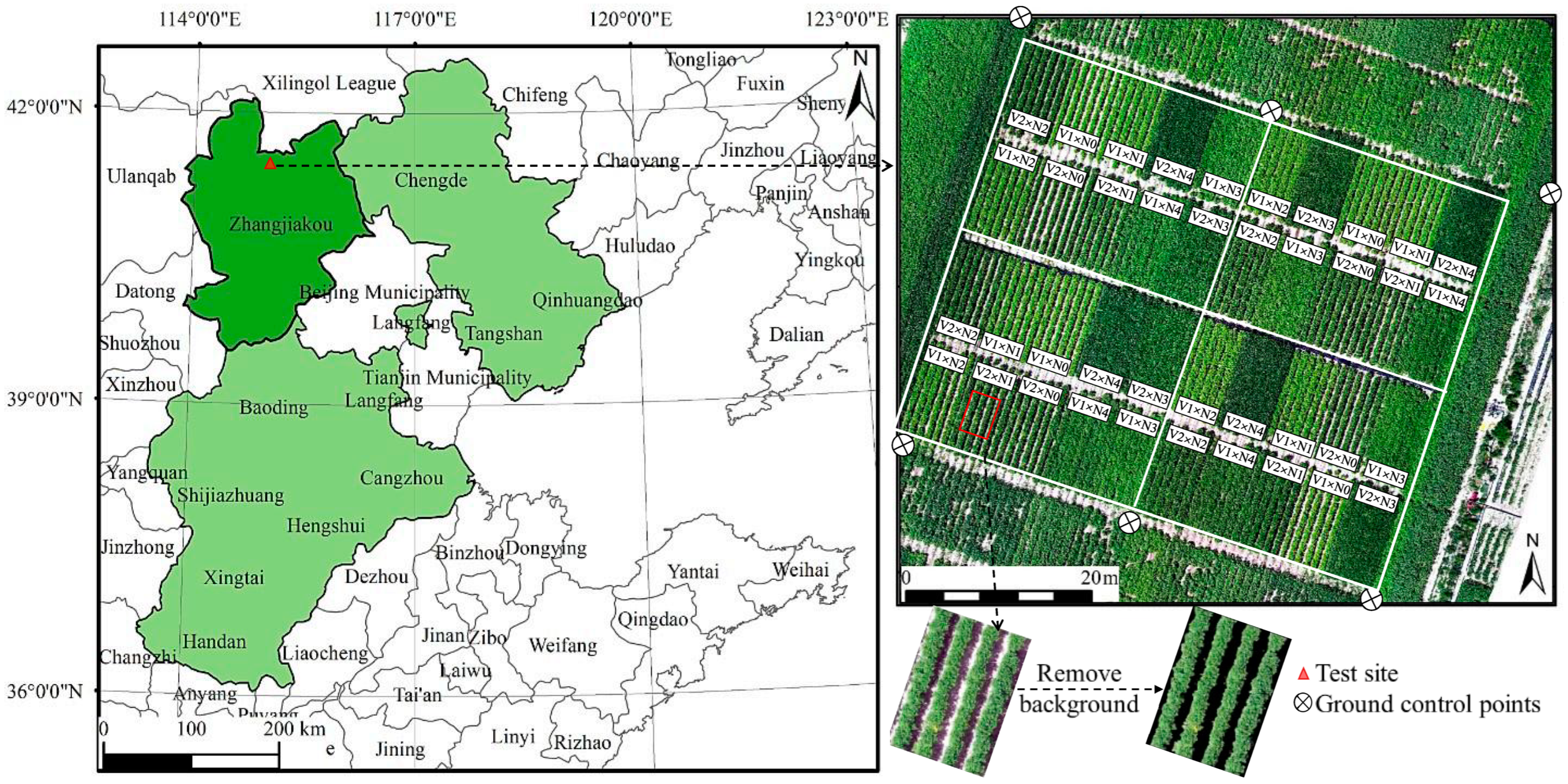 Agronomy 14 02257 g001