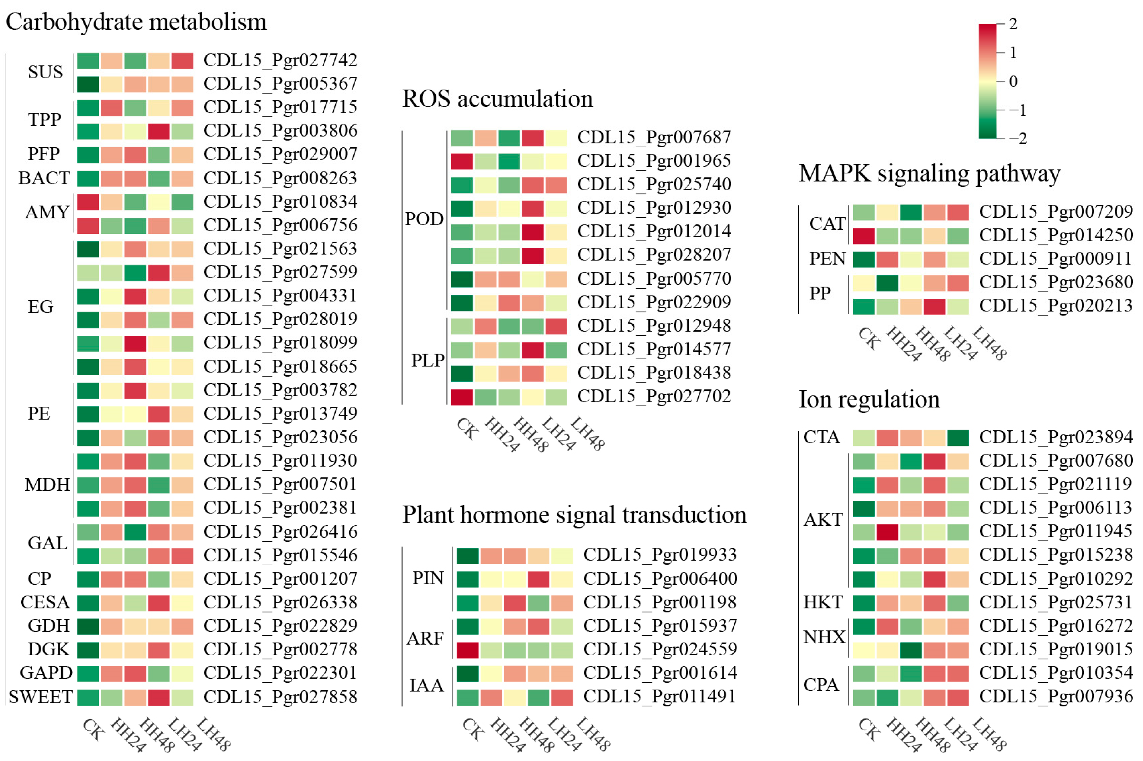 Agronomy 14 02261 g004 Agronomy 14 02261 g004
