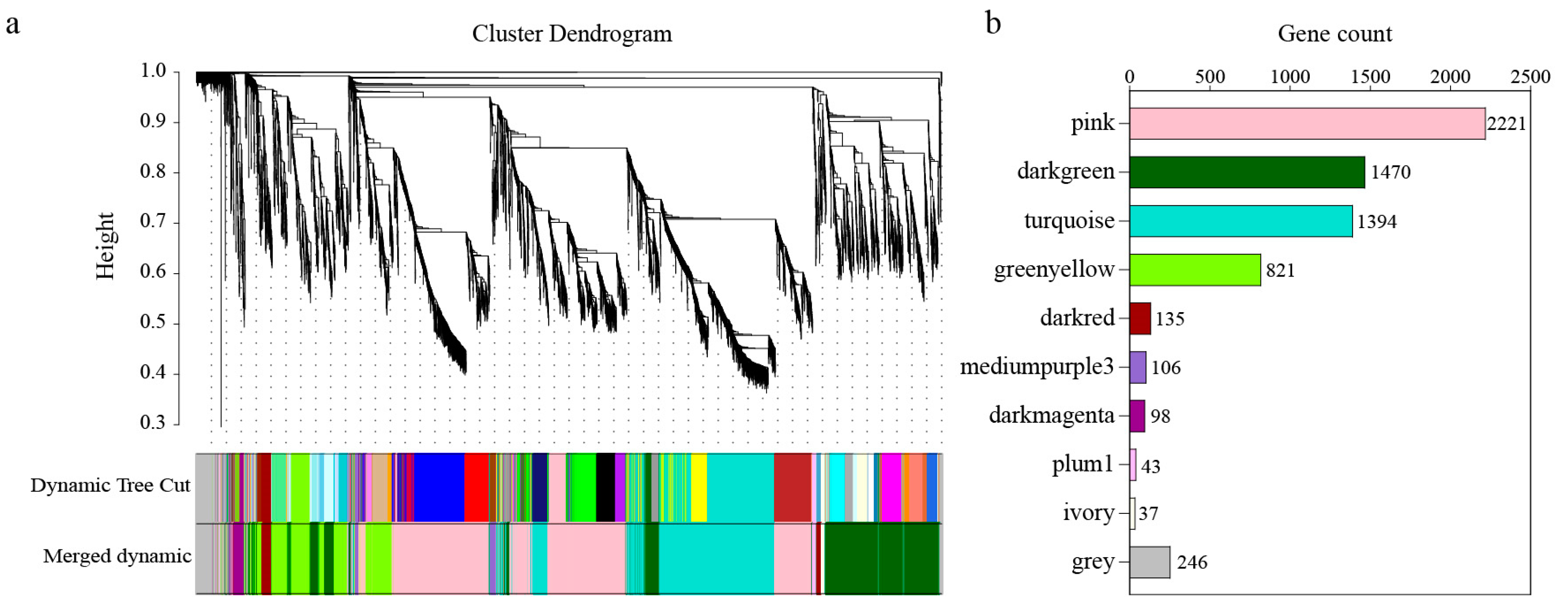 Agronomy 14 02261 g006 Agronomy 14 02261 g006