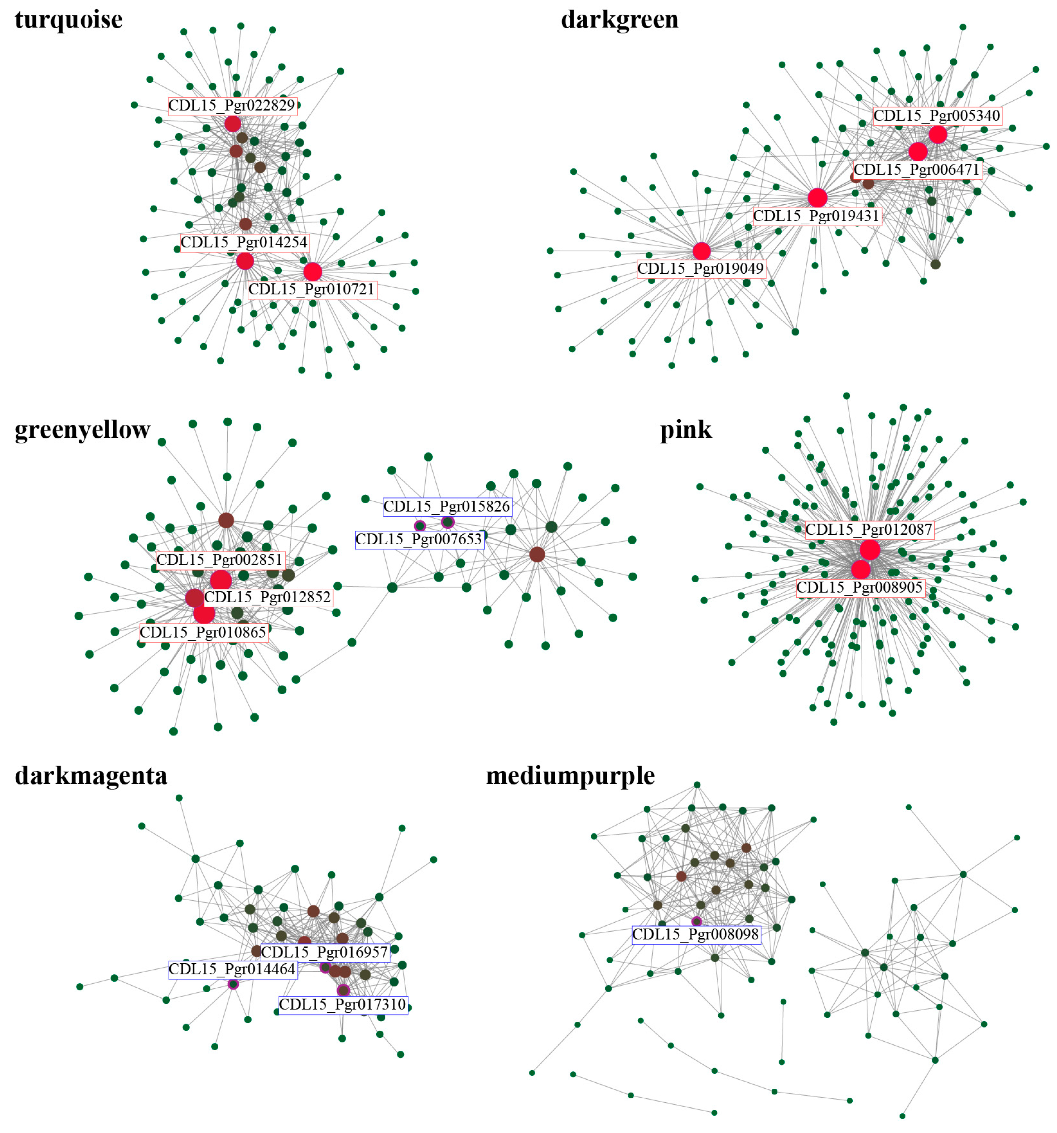 Agronomy 14 02261 g008 Agronomy 14 02261 g008