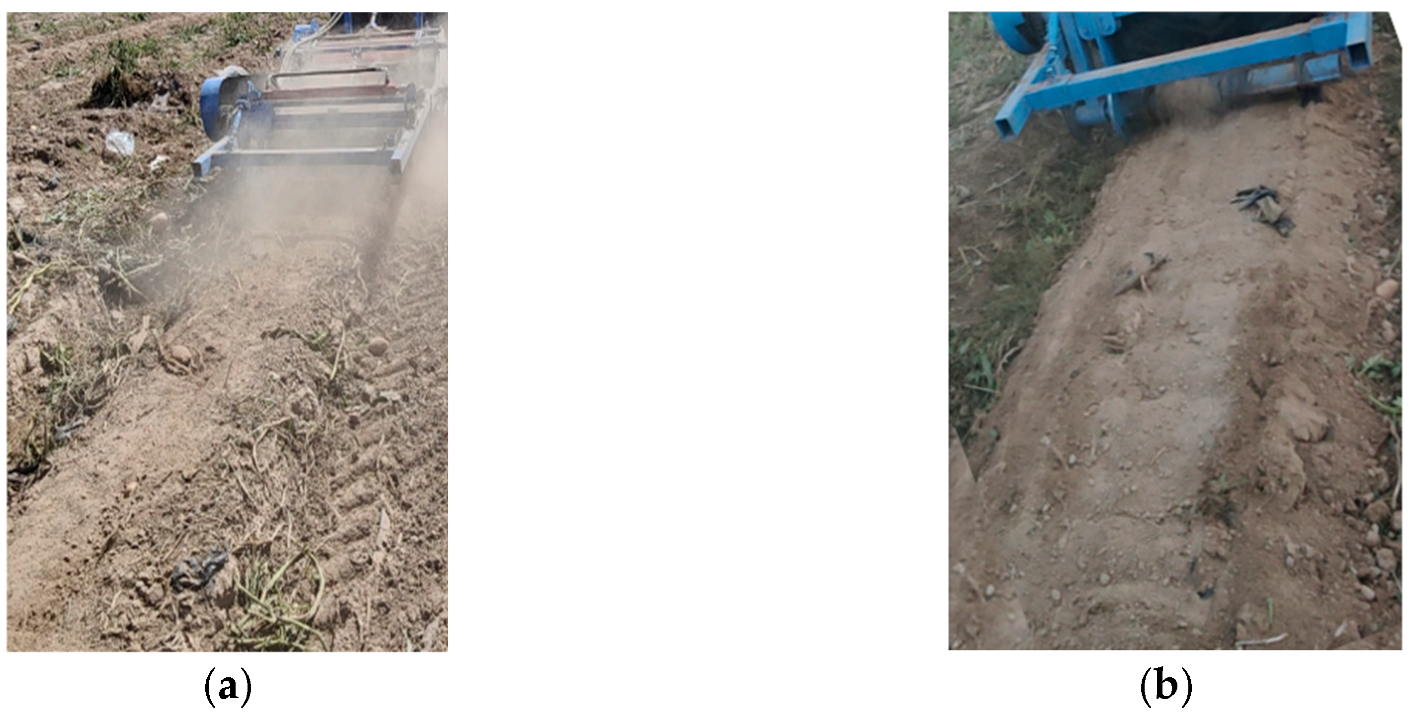 Agronomy 14 02269 g026