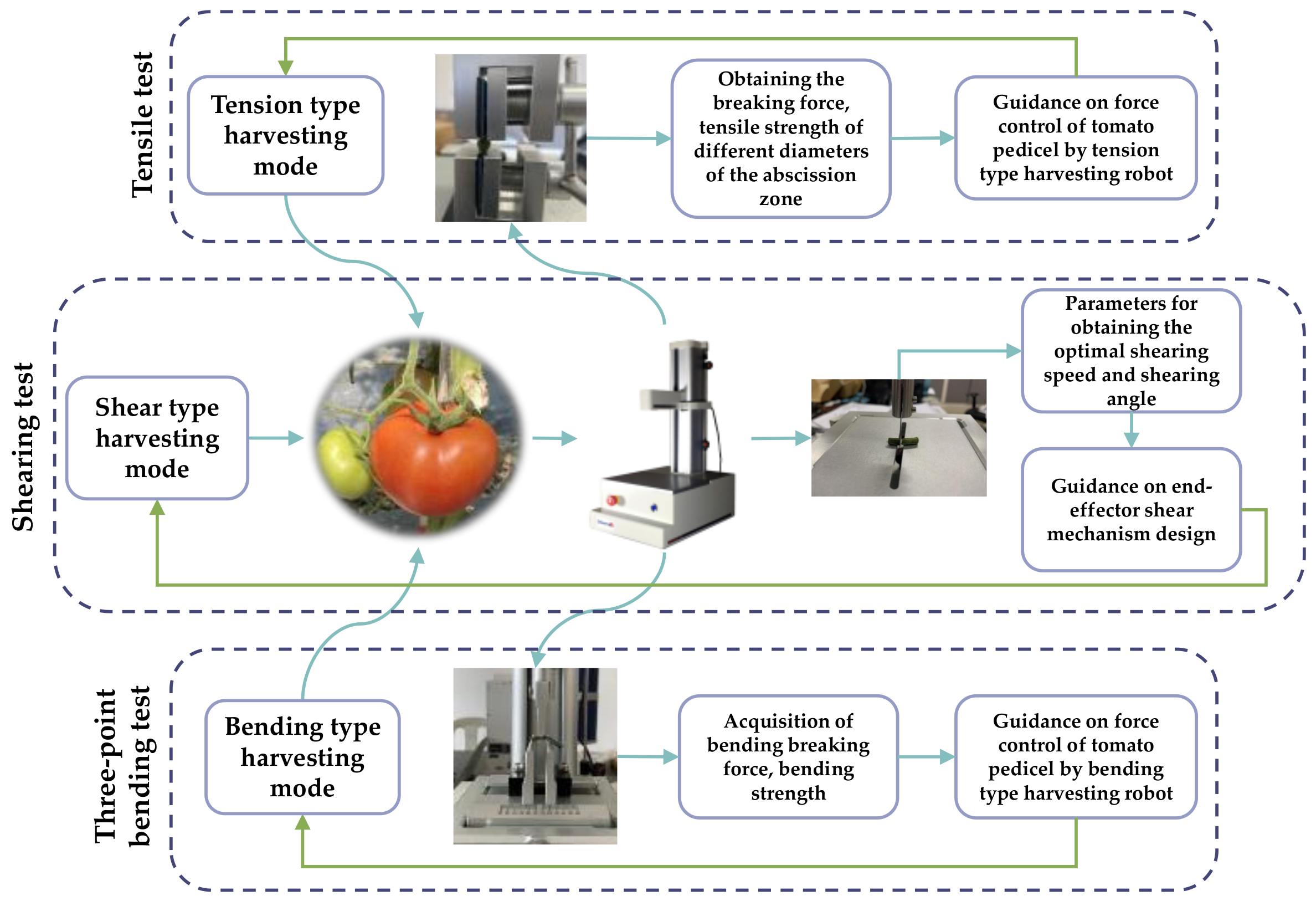 Agronomy 14 02274 g001