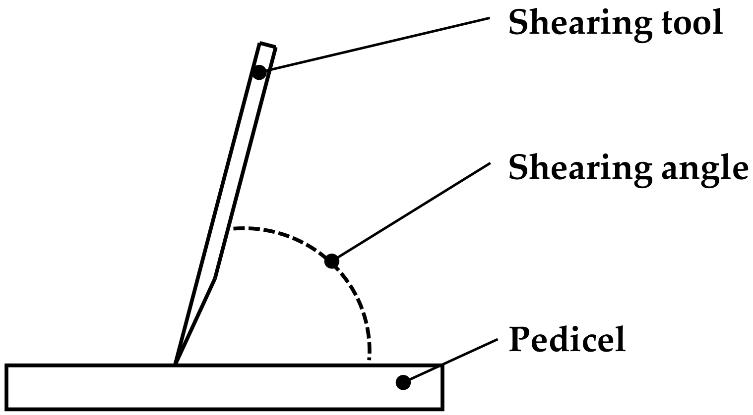 Agronomy 14 02274 g005