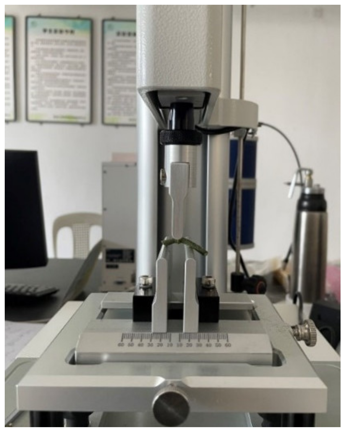 Agronomy 14 02274 g006