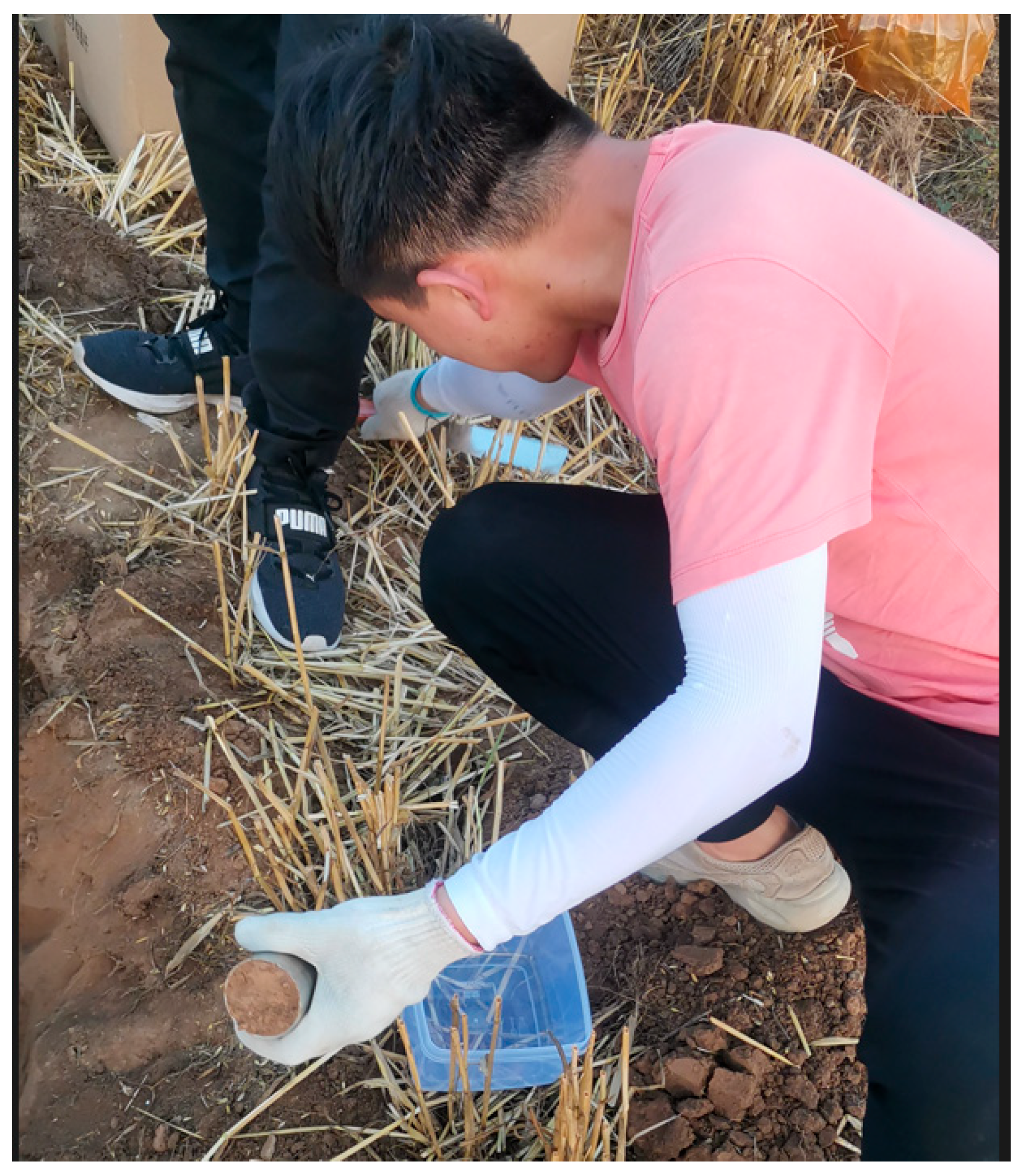 Agronomy 14 02286 g0a4