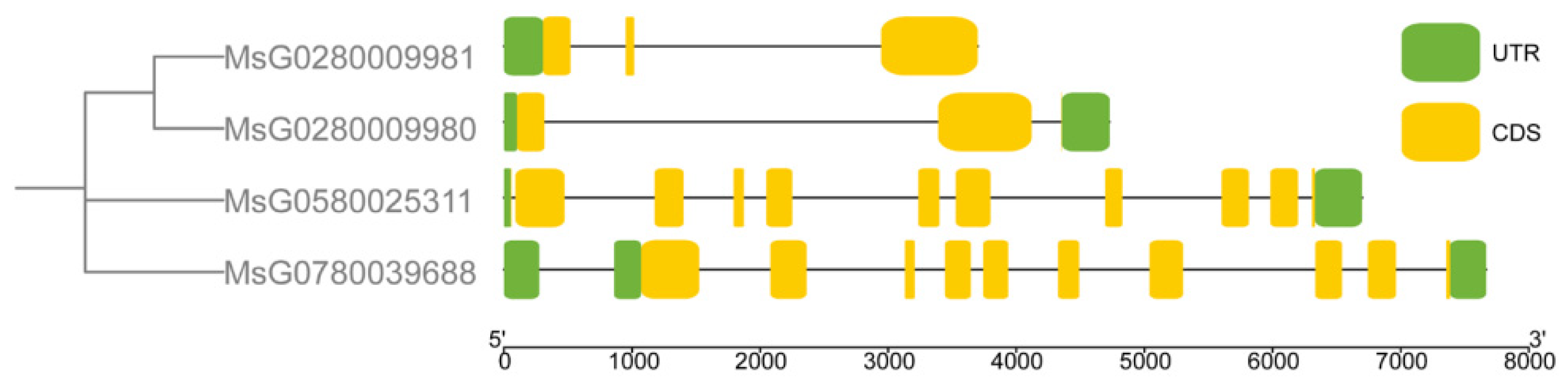 Agronomy 14 02287 g003