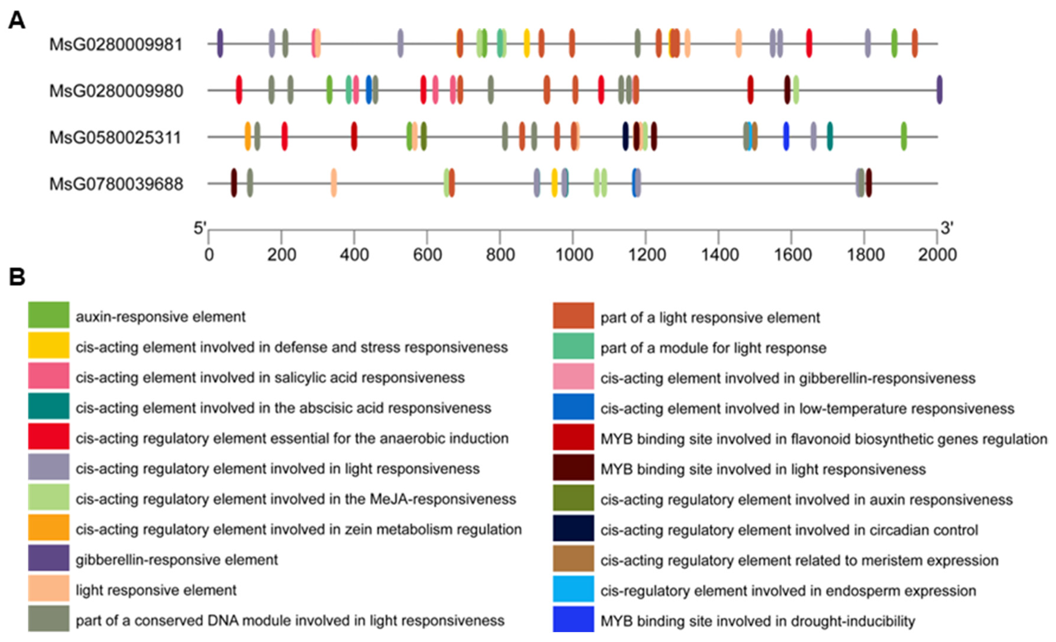 Agronomy 14 02287 g004