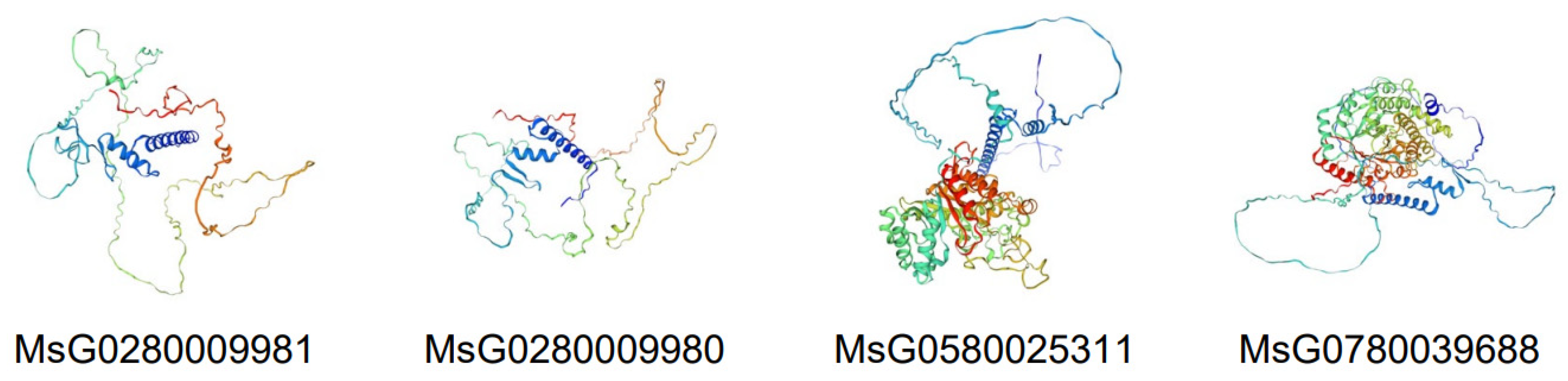 Agronomy 14 02287 g005