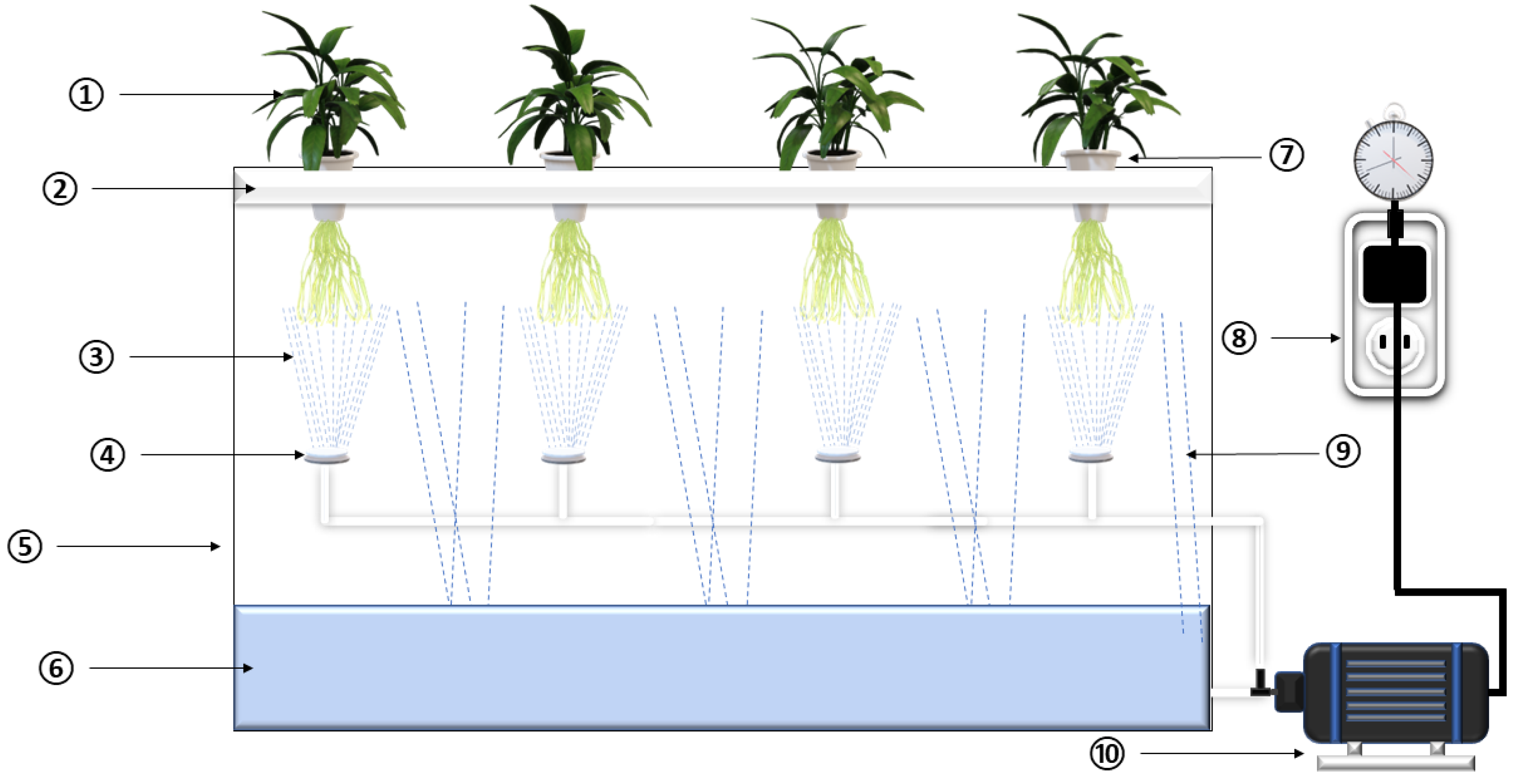 Agronomy 14 02289 g002