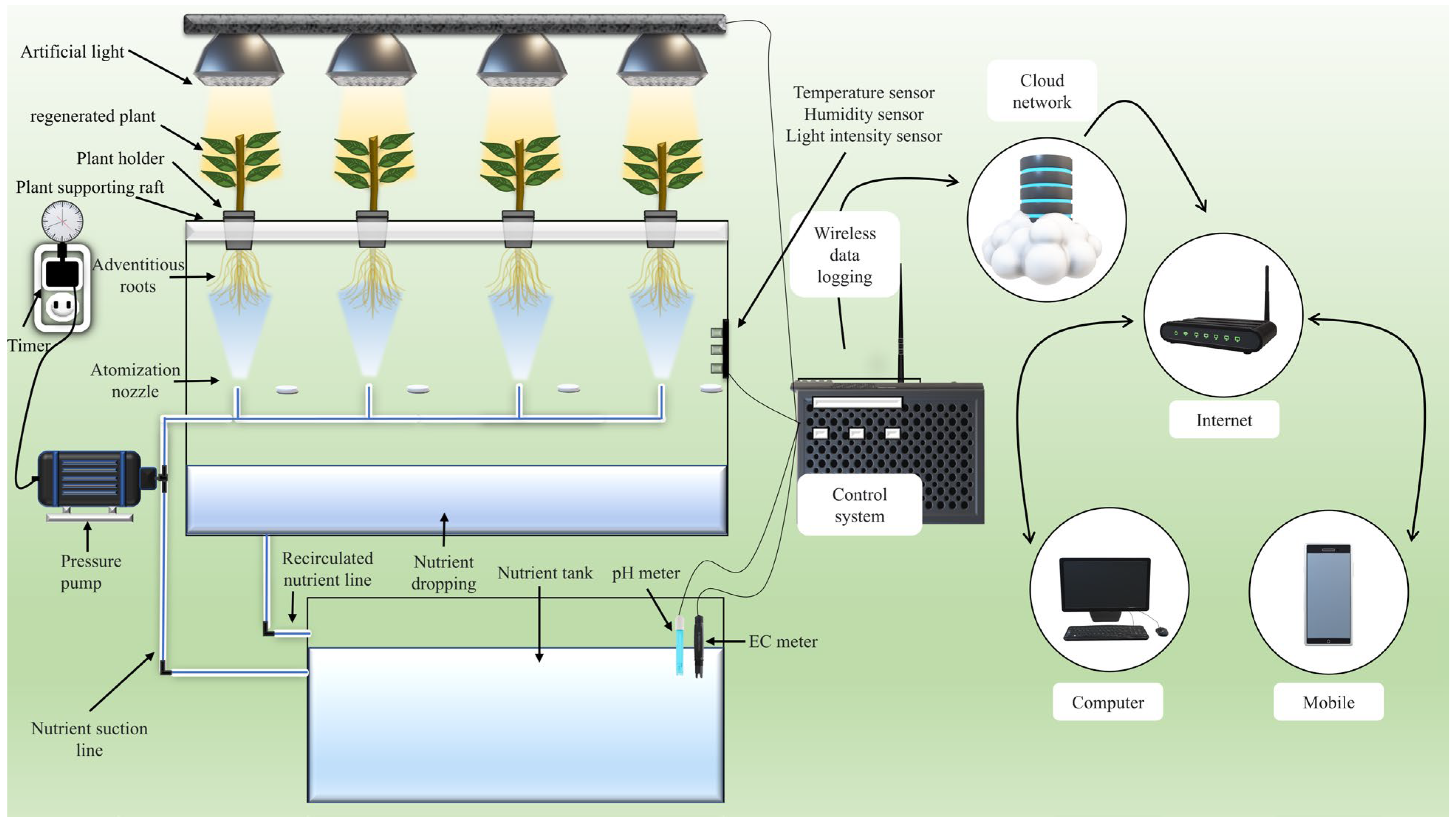 Agronomy 14 02289 g003