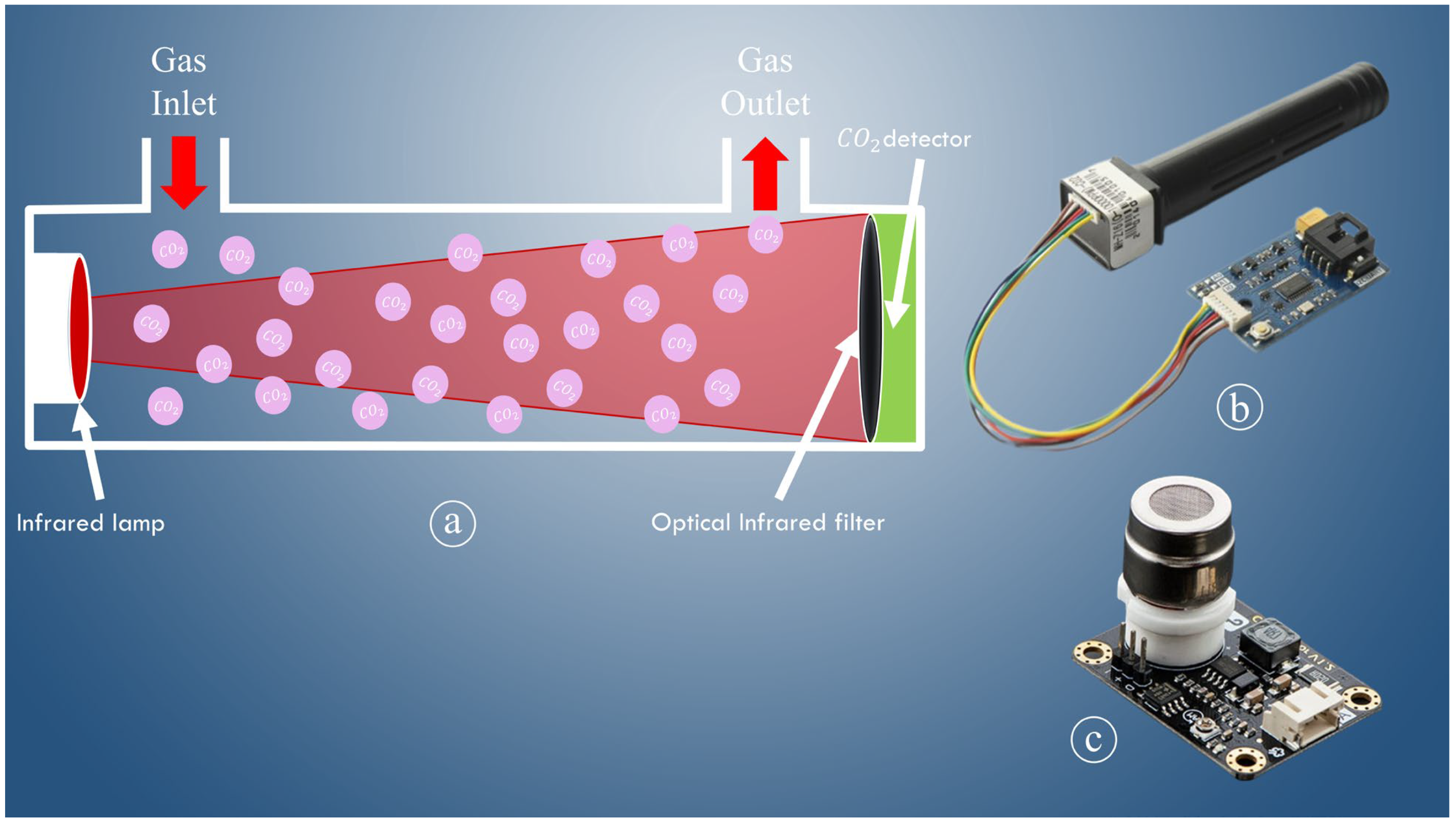 Agronomy 14 02289 g006