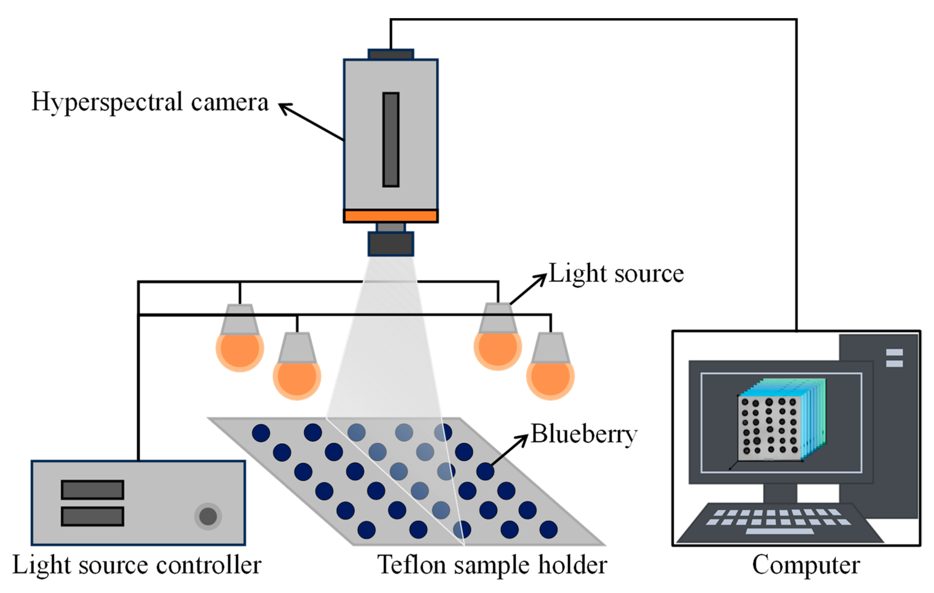 Agronomy 14 02296 g001