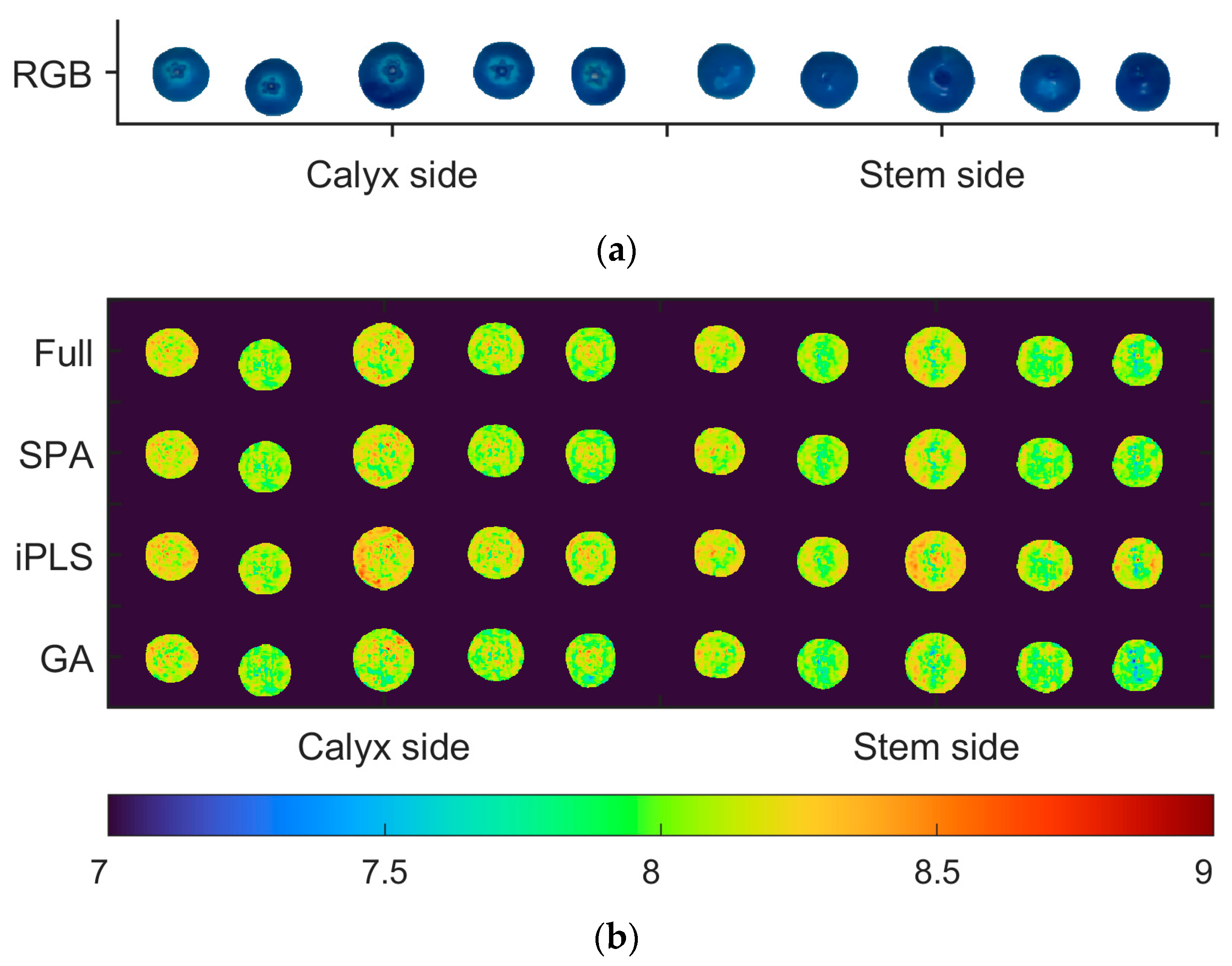 Agronomy 14 02296 g007