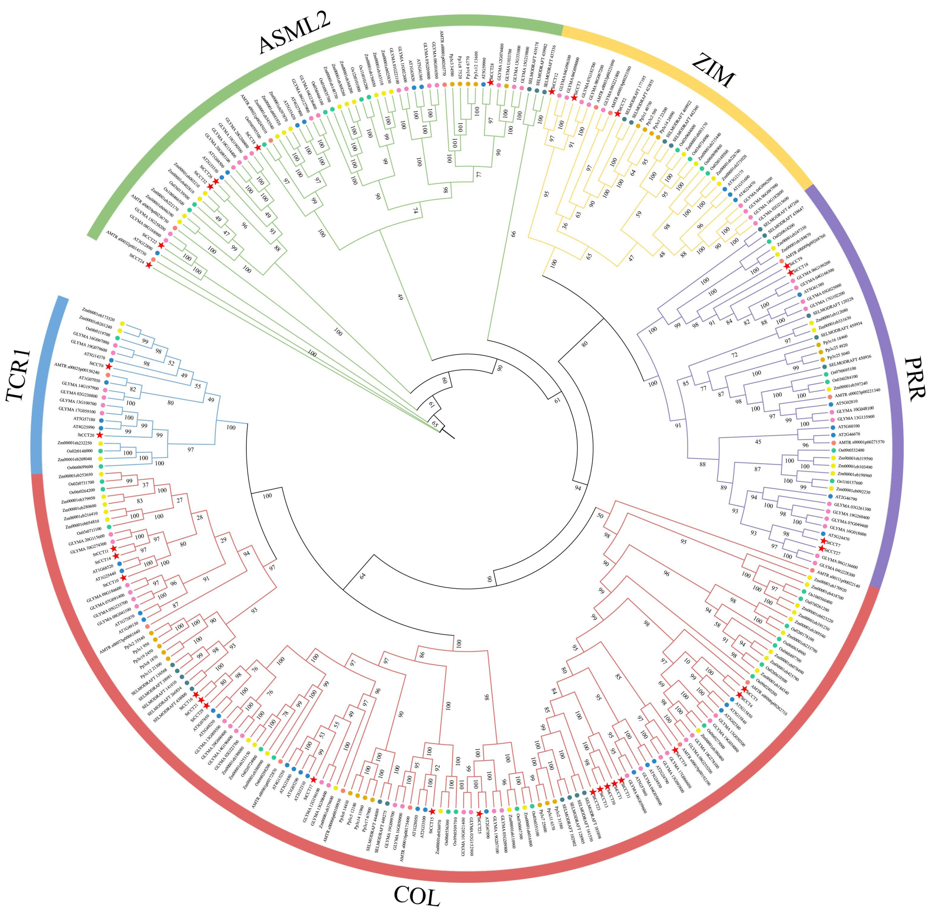 Agronomy 14 02298 g004
