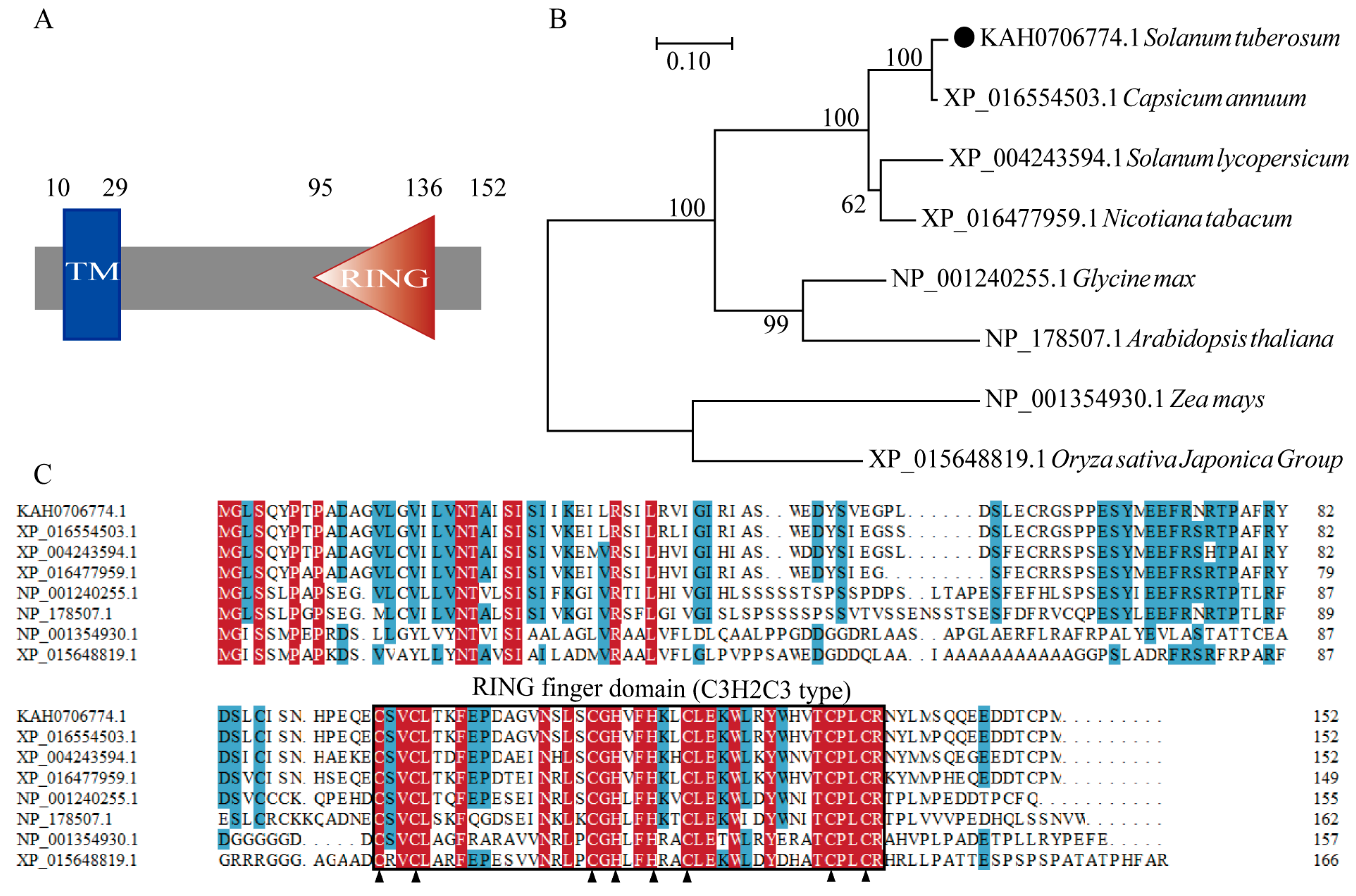 Agronomy 14 02305 g001